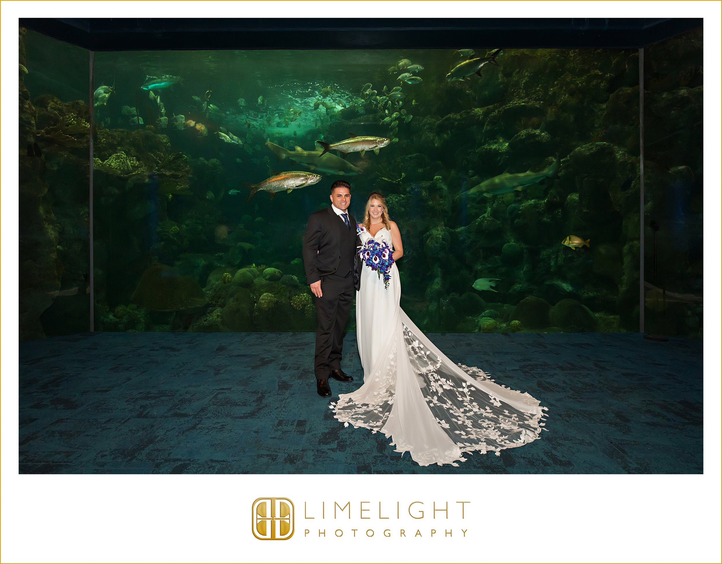0015-The-Florida-Aquarium-Tampa-Wedding-Photography.jpg