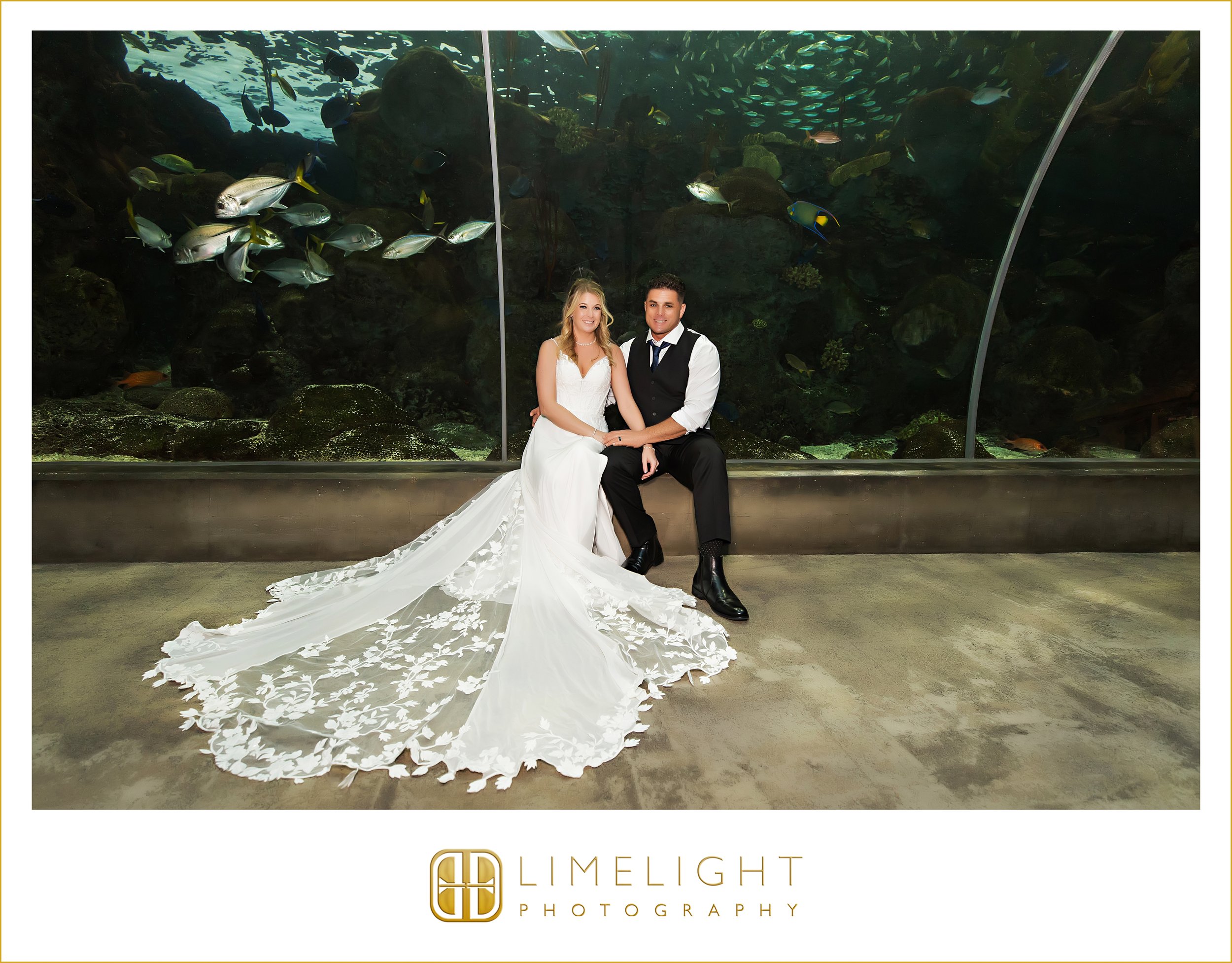 0023-The-Florida-Aquarium-Tampa-Wedding-Photography.jpg