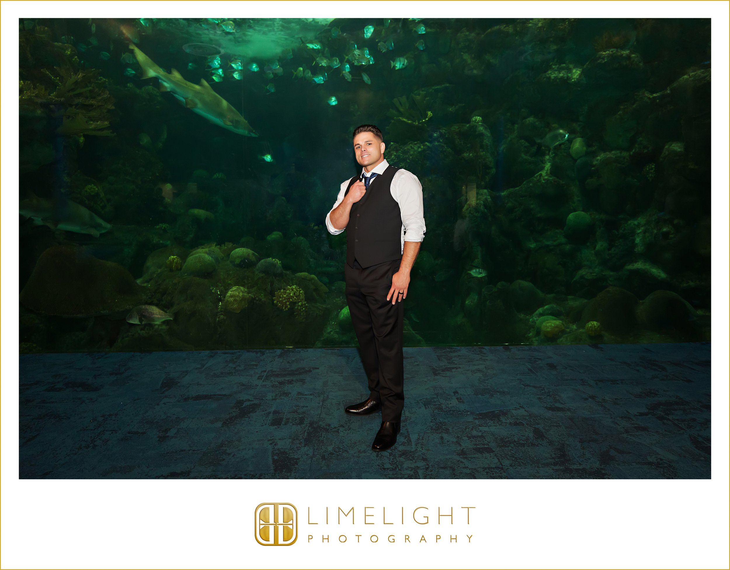 0026-The-Florida-Aquarium-Tampa-Wedding-Photography.jpg