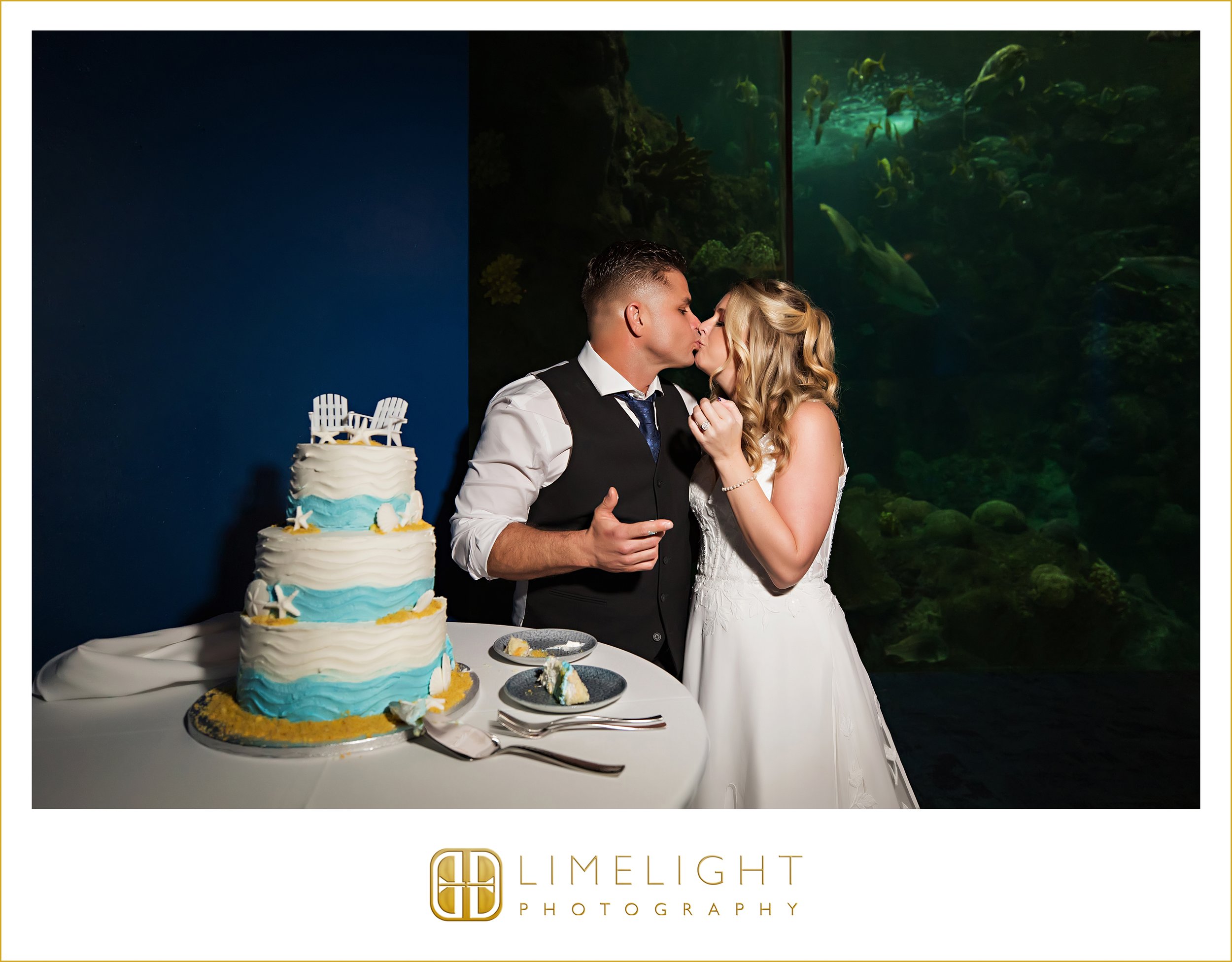 0029-The-Florida-Aquarium-Tampa-Wedding-Photography.jpg