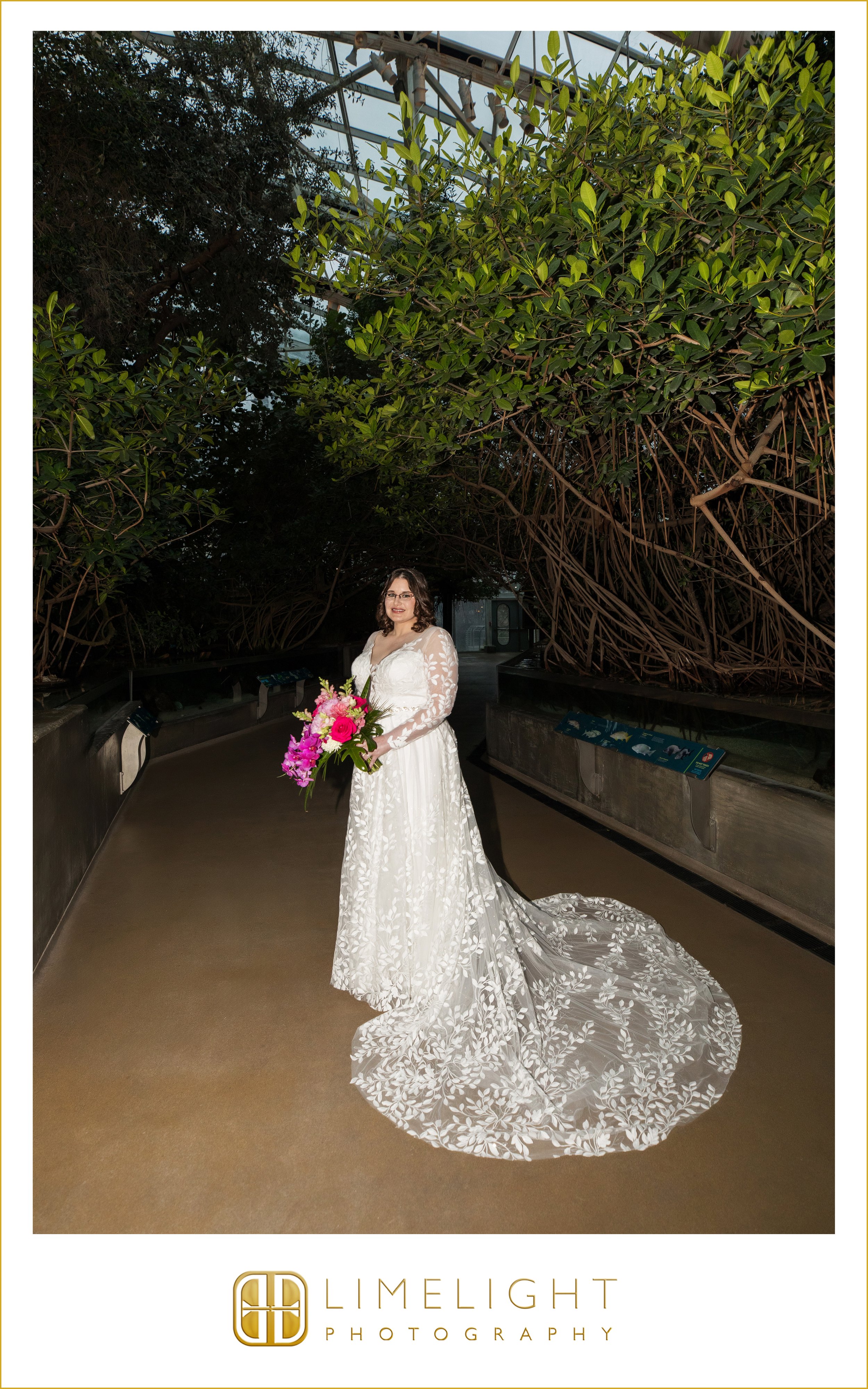 0029-The-Florida-Aquarium-Wedding-Photography-Tampa-Florida.jpg