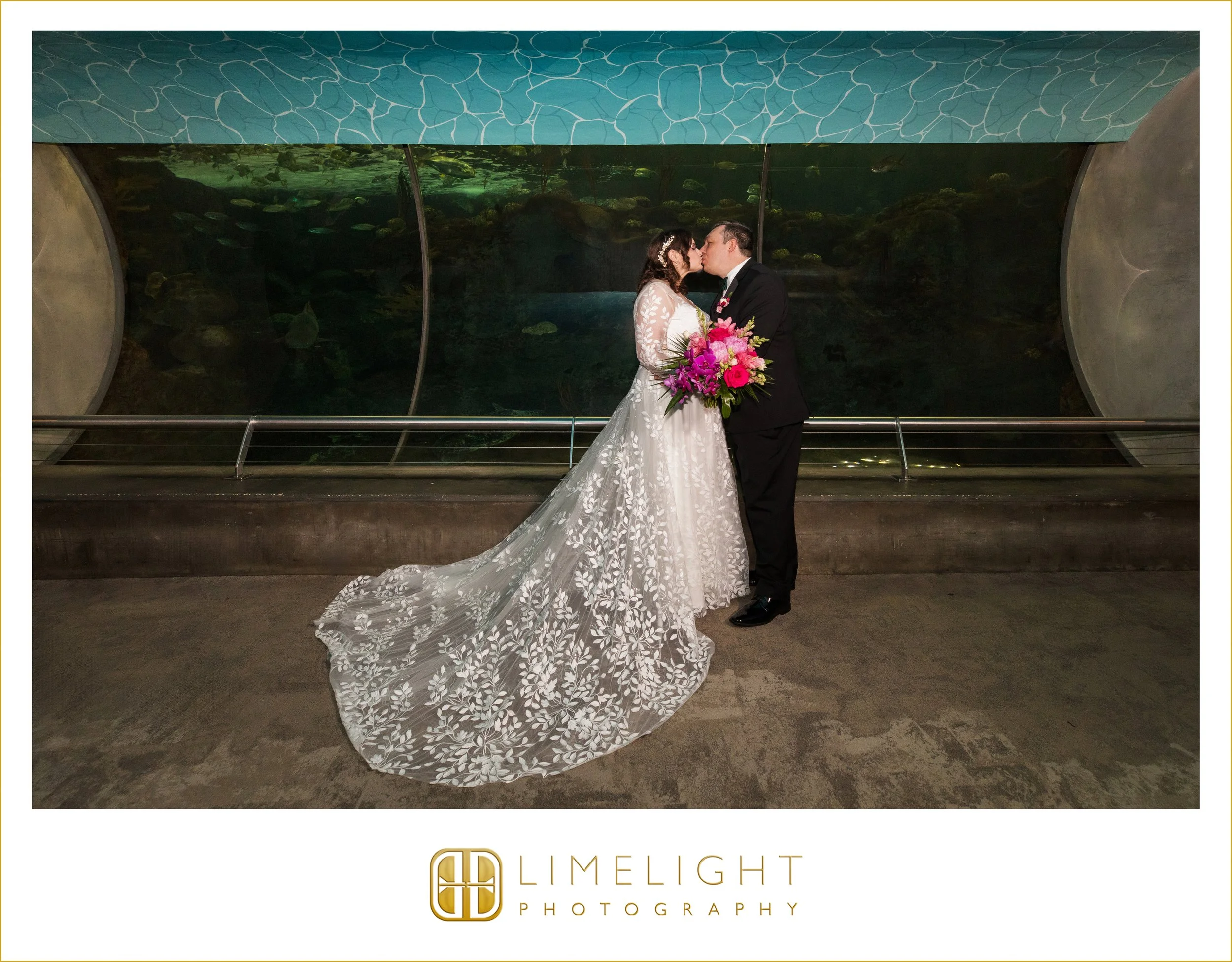 0032-The-Florida-Aquarium-Wedding-Photography-Tampa-Florida.jpg