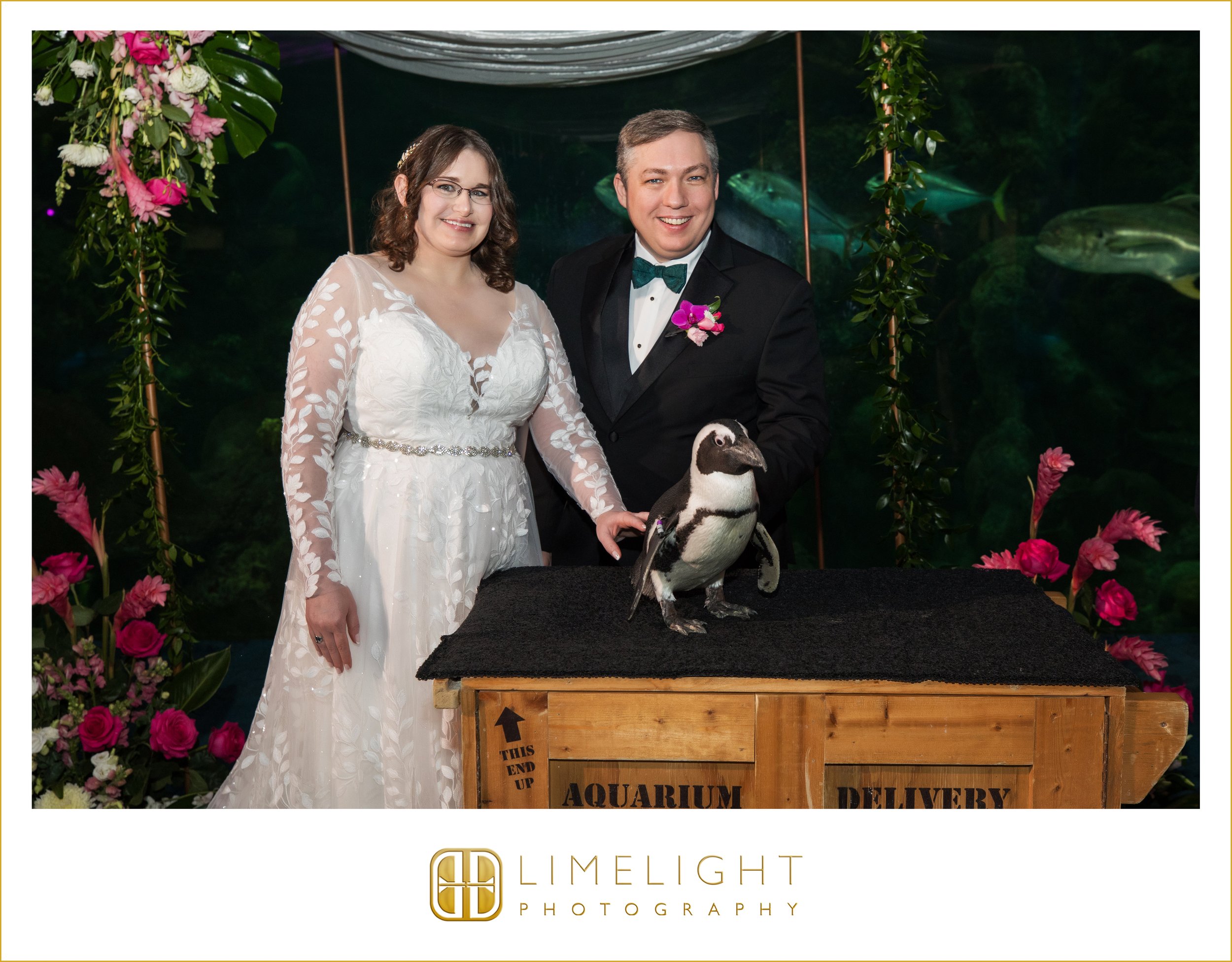 0040-The-Florida-Aquarium-Wedding-Photography-Tampa-Florida.jpg