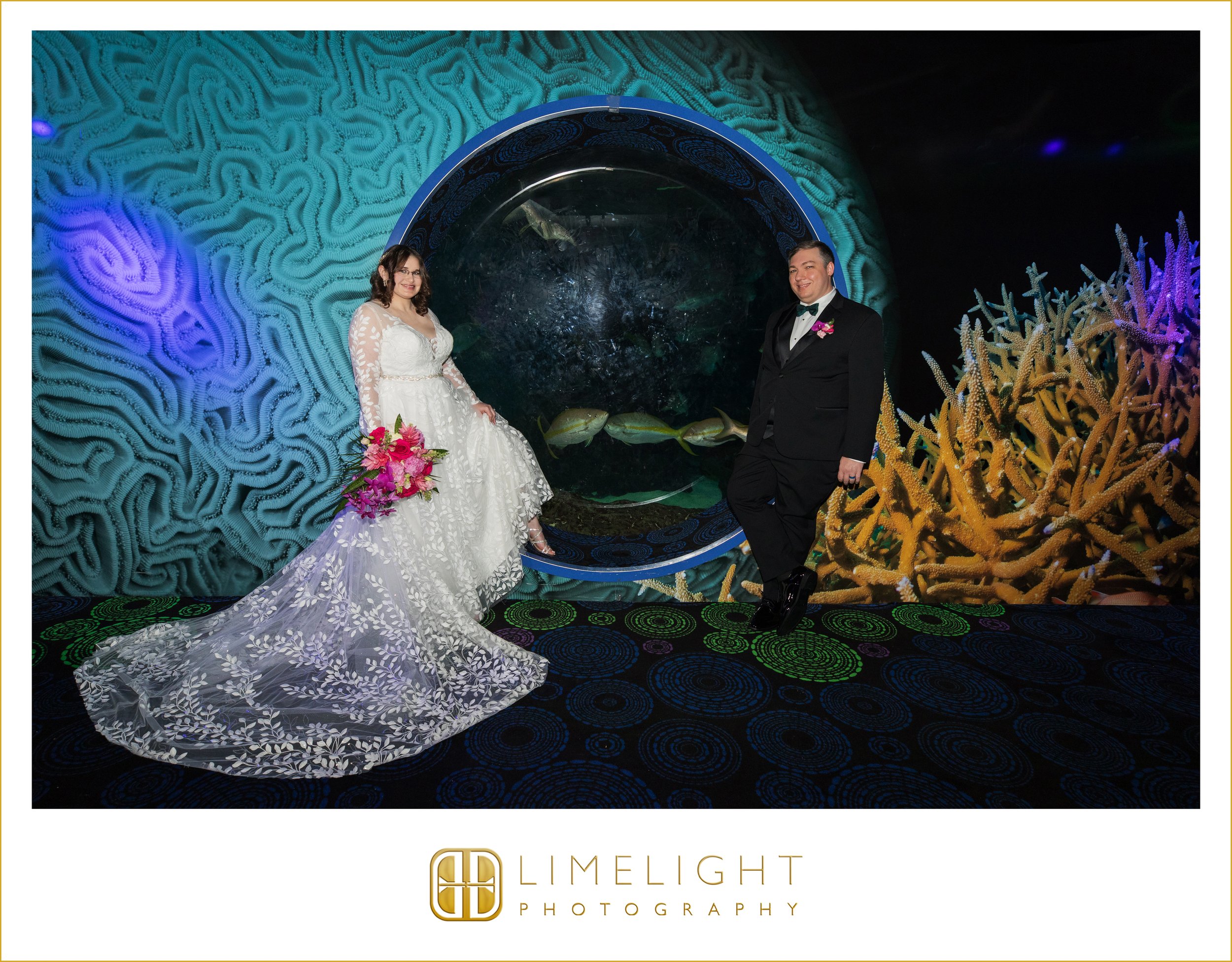 0042-The-Florida-Aquarium-Wedding-Photography-Tampa-Florida.jpg