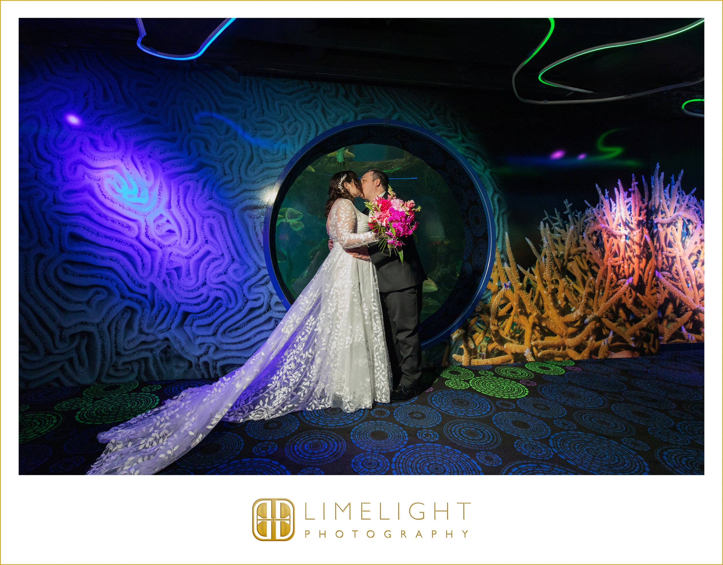 0043-The-Florida-Aquarium-Wedding-Photography-Tampa-Florida.jpg