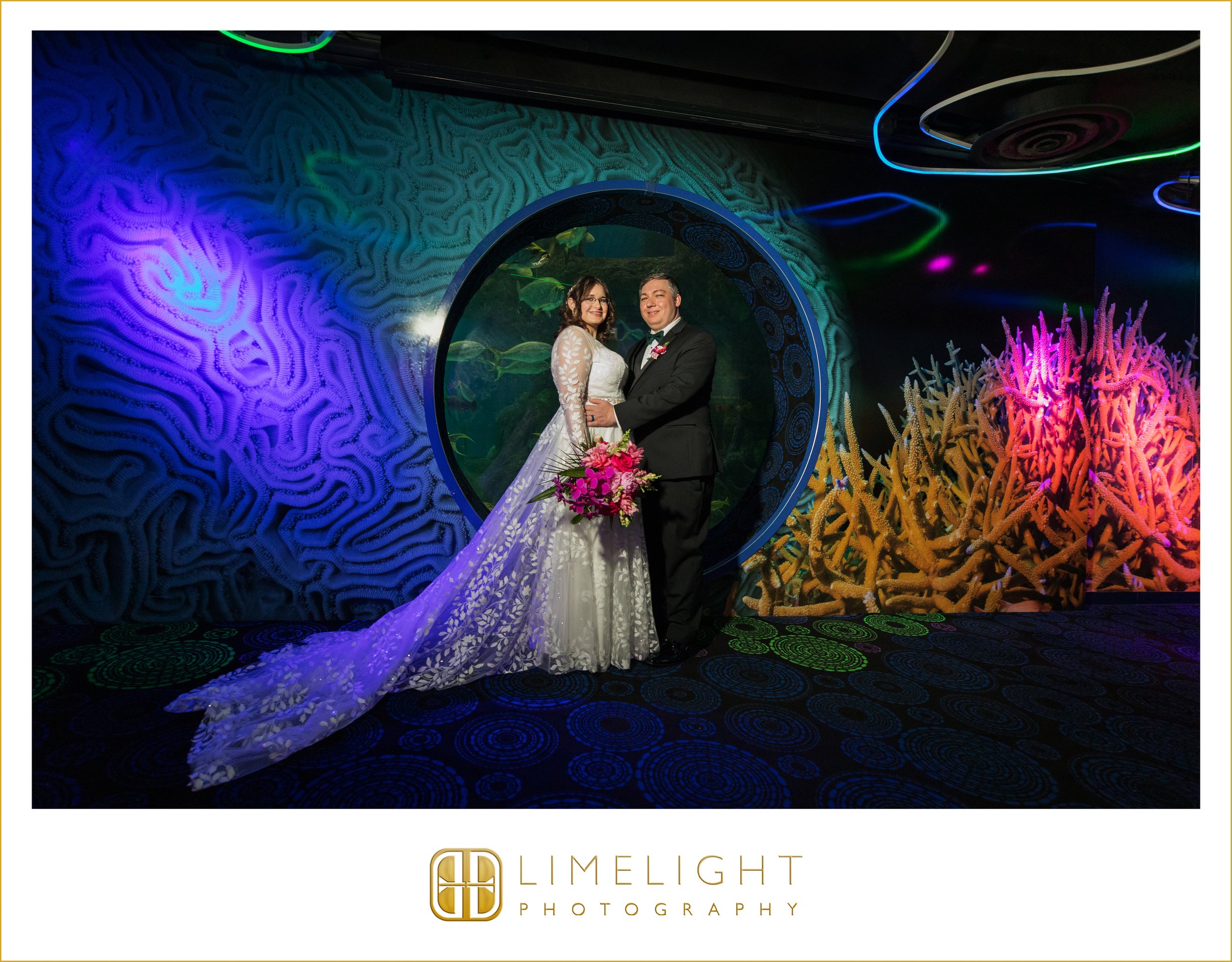 0044-The-Florida-Aquarium-Wedding-Photography-Tampa-Florida.jpg