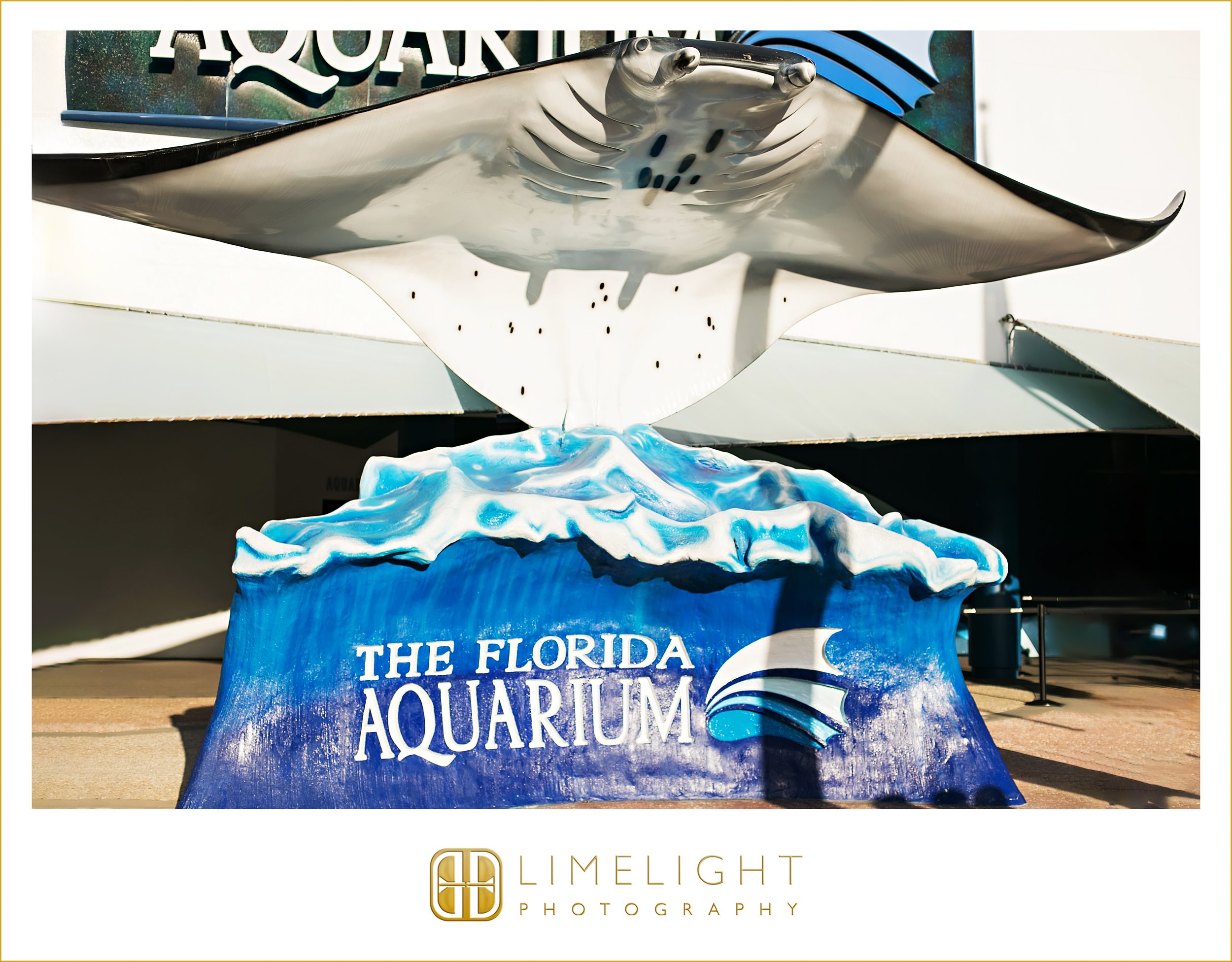 0032-The-Florida-Aquarium-Preferred-Wedding-Photographer.jpg