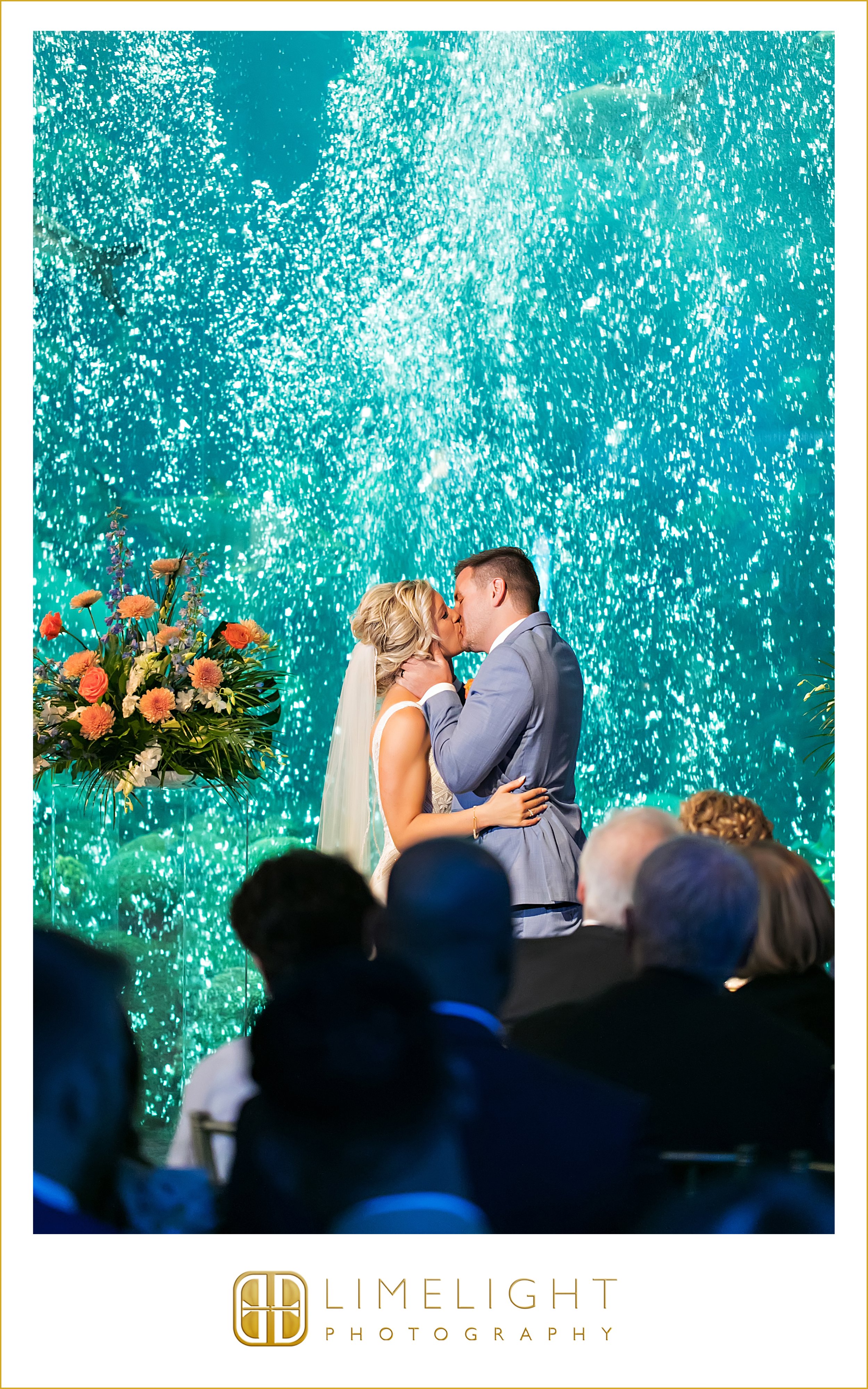 0039-The-Florida-Aquarium-Preferred-Wedding-Photographer.jpg