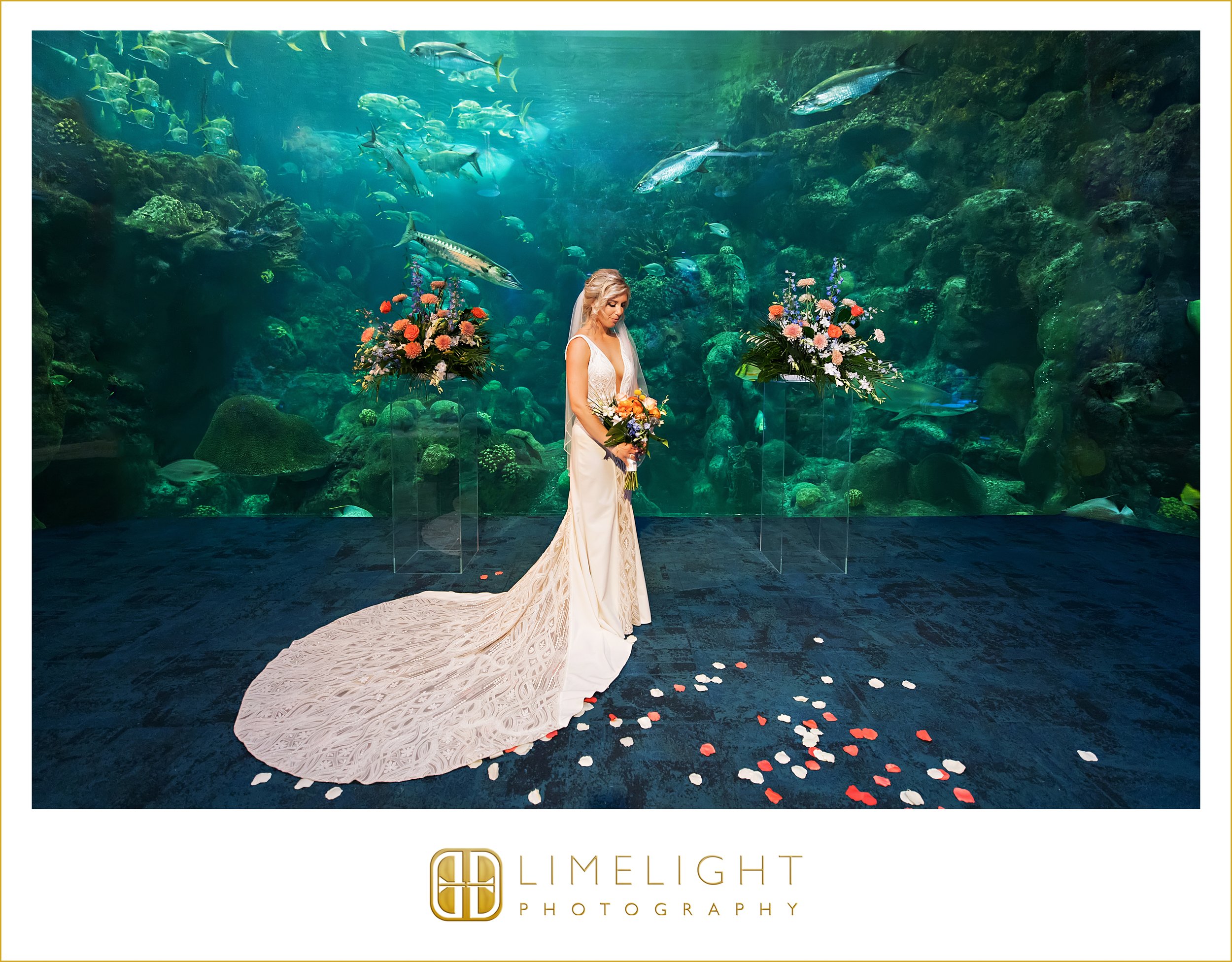 0043-The-Florida-Aquarium-Preferred-Wedding-Photographer.jpg
