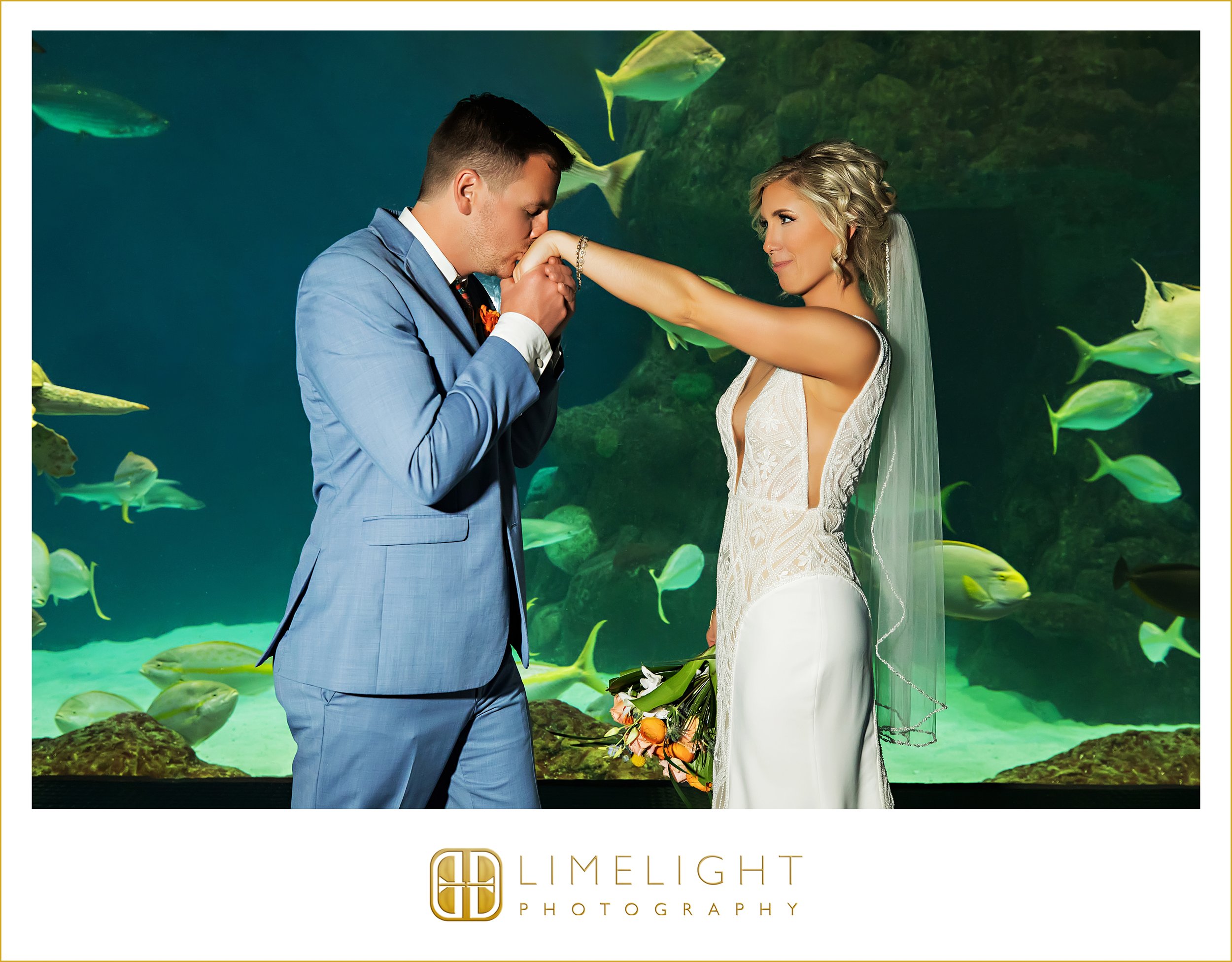 0044-The-Florida-Aquarium-Preferred-Wedding-Photographer.jpg