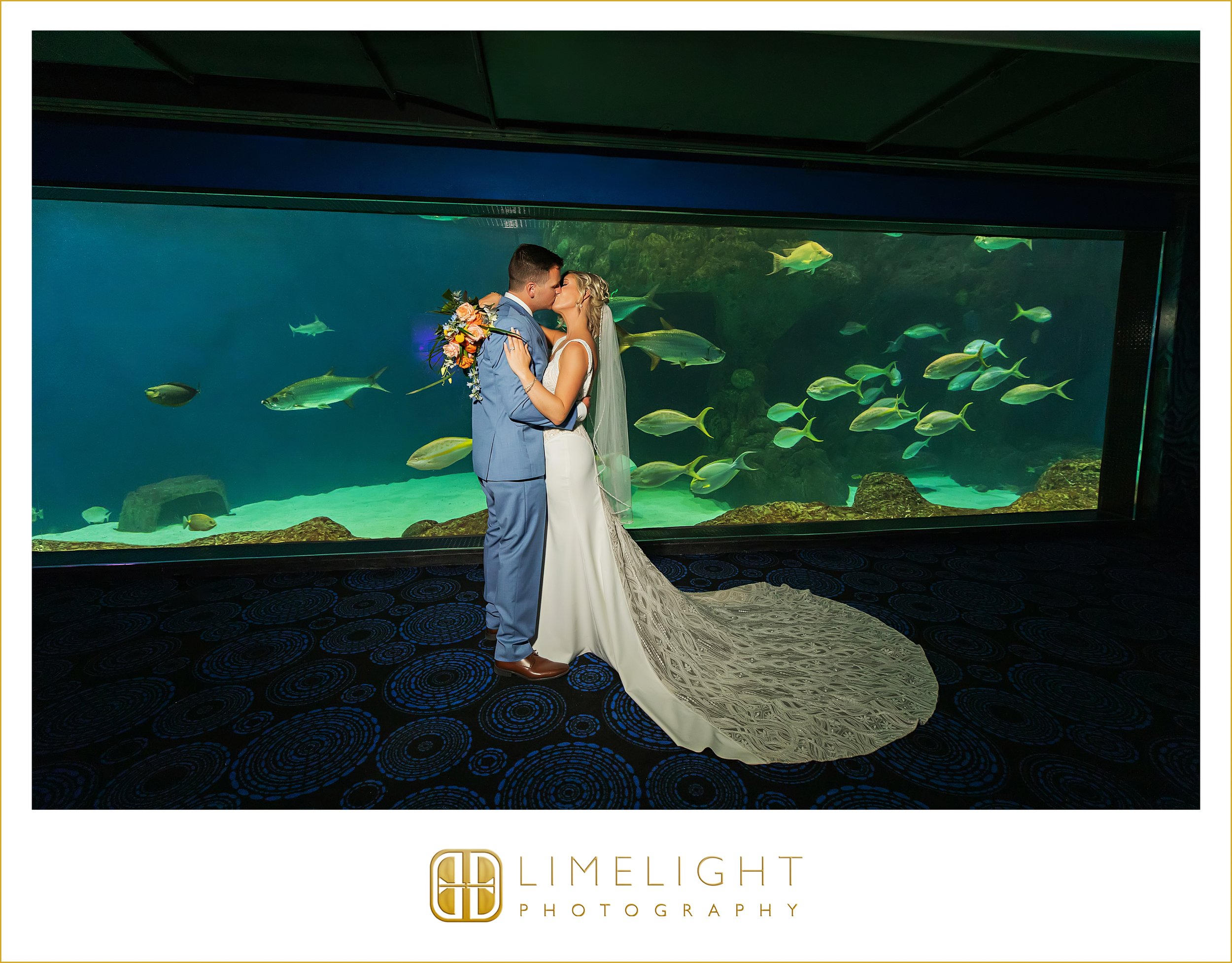 0045-The-Florida-Aquarium-Preferred-Wedding-Photographer.jpg