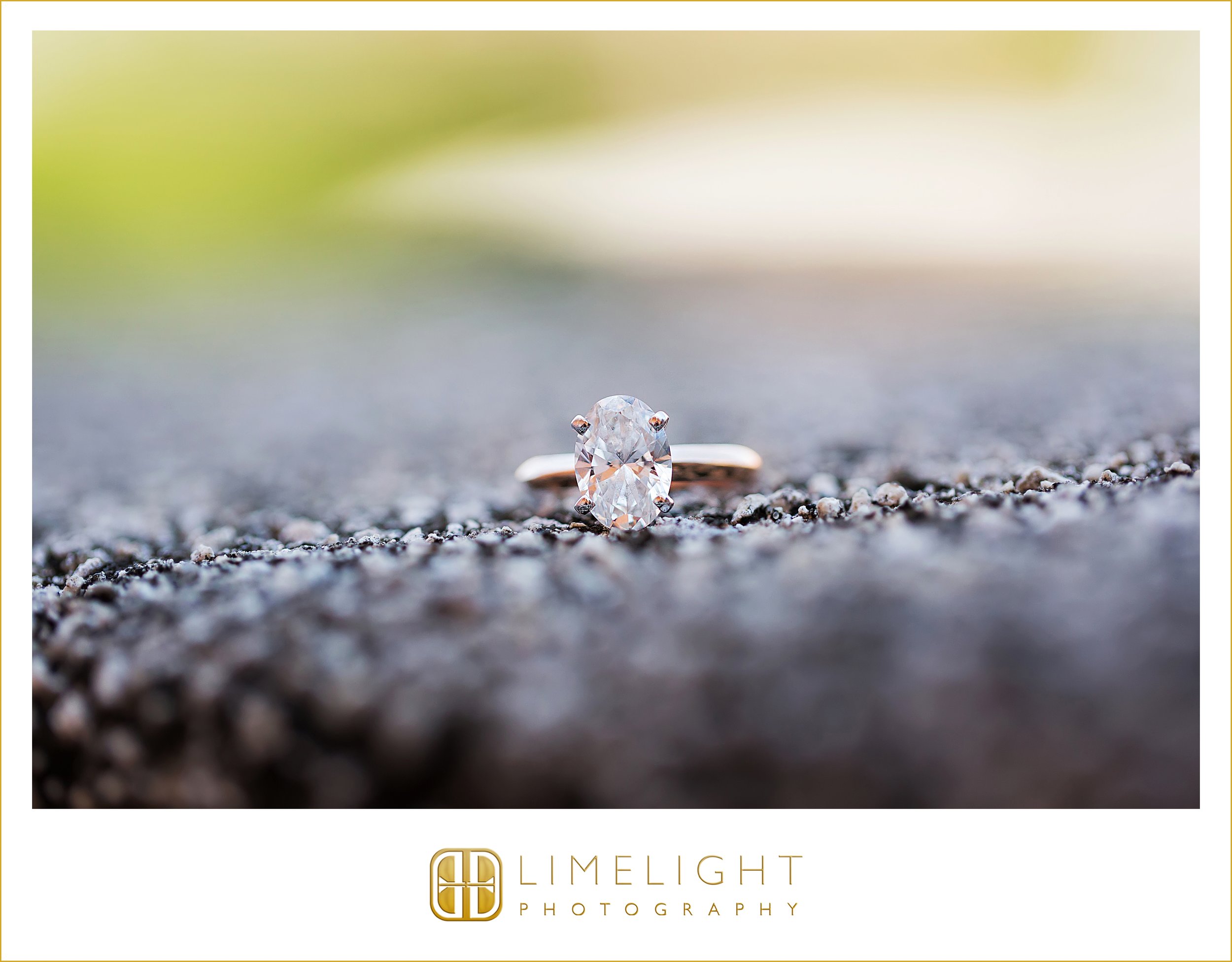 0008-The-Ringling-Sarasota-Engagement-Session-Photography.jpg