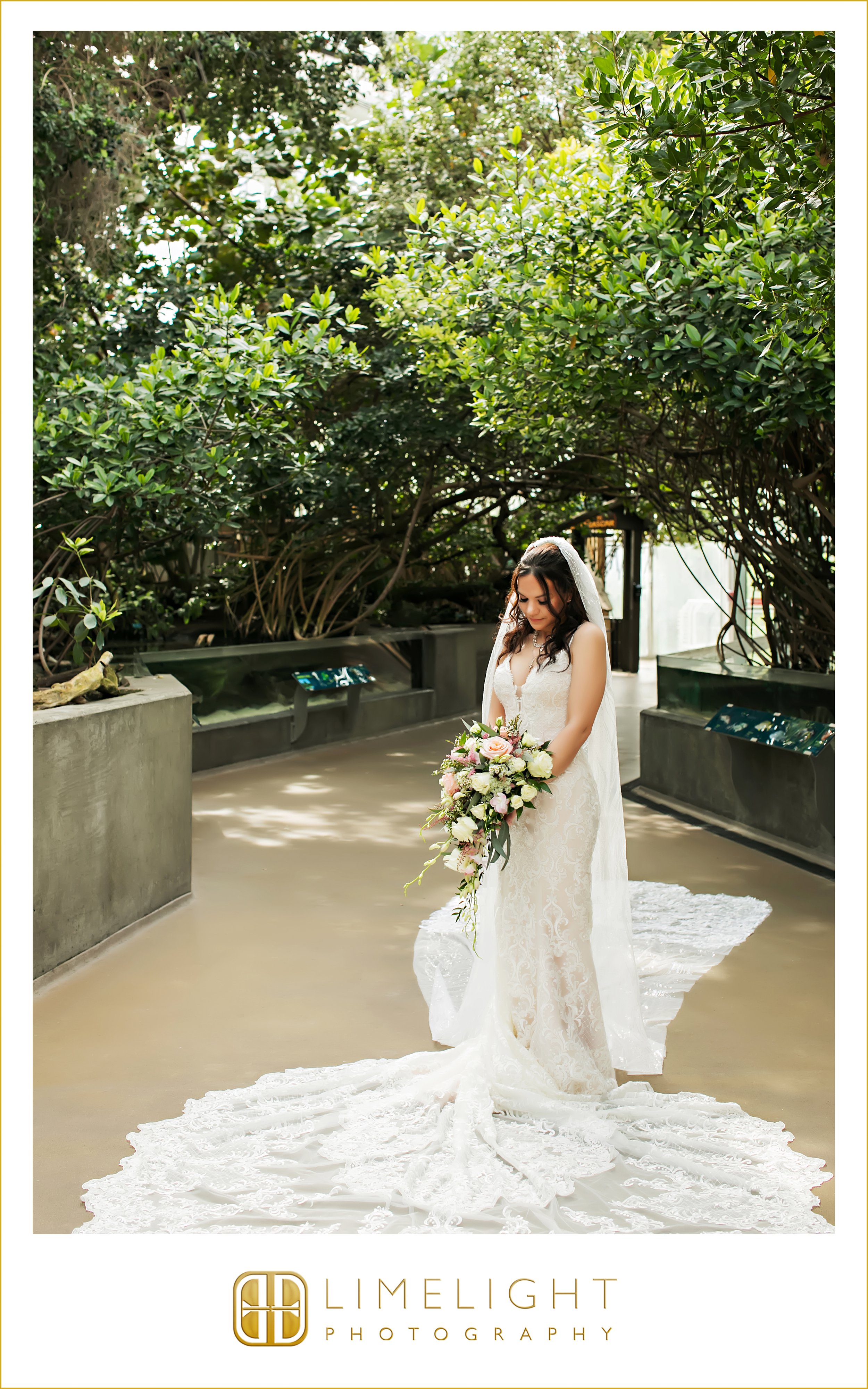 0034-The-Florida-Aquarium-Wedding-Photograoher.jpg