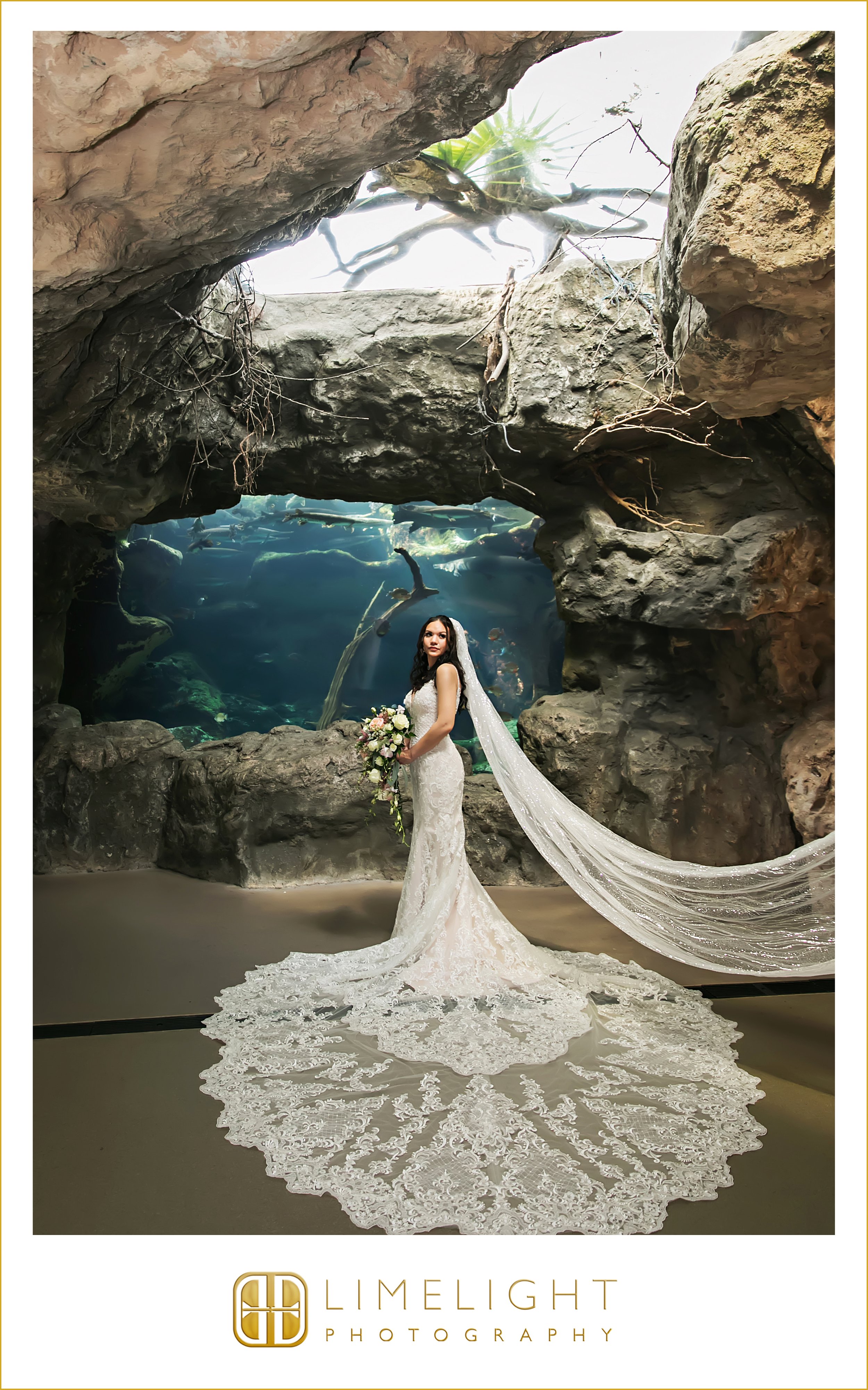 0041-The-Florida-Aquarium-Wedding-Photograoher.jpg