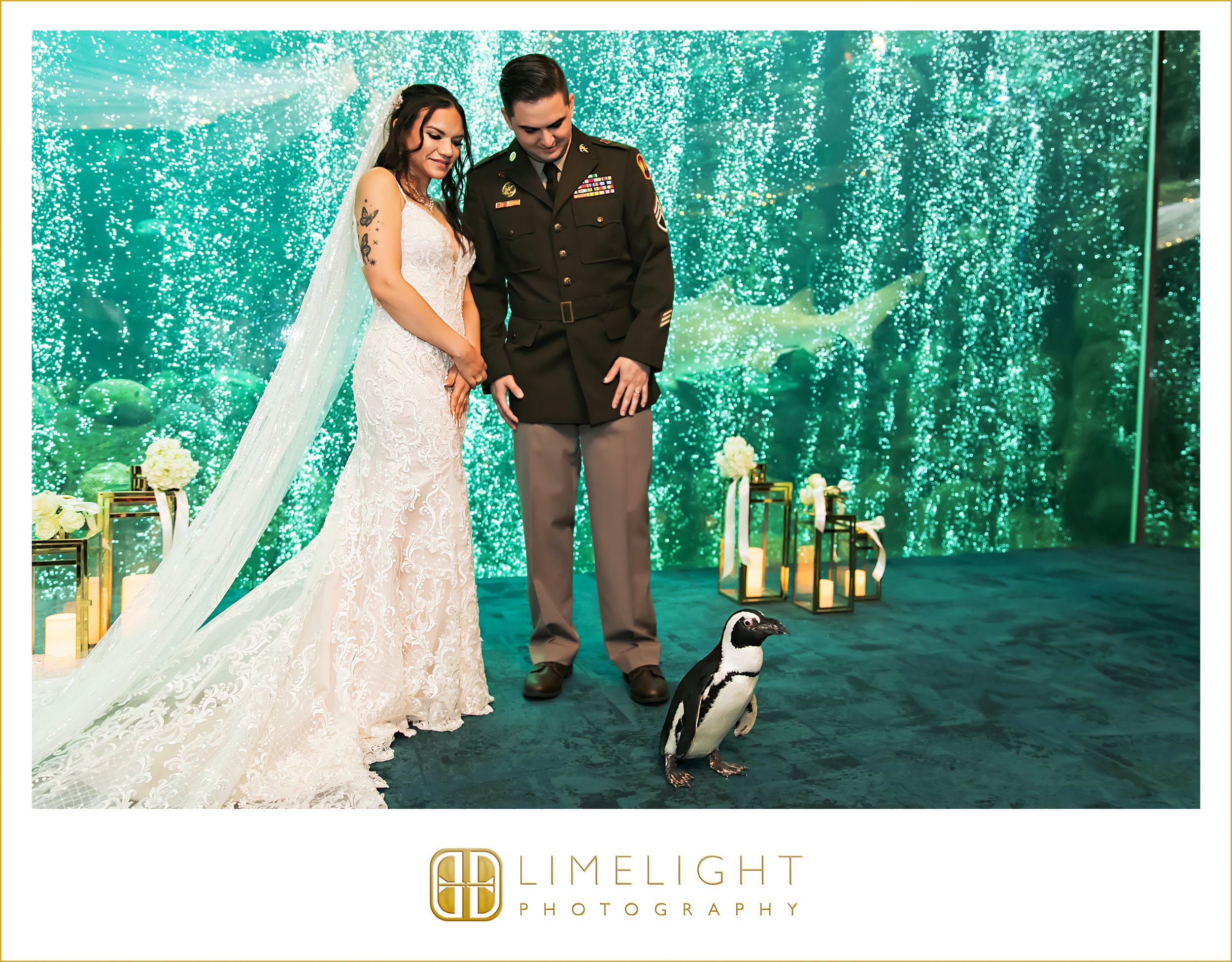 0052-The-Florida-Aquarium-Wedding-Photograoher.jpg