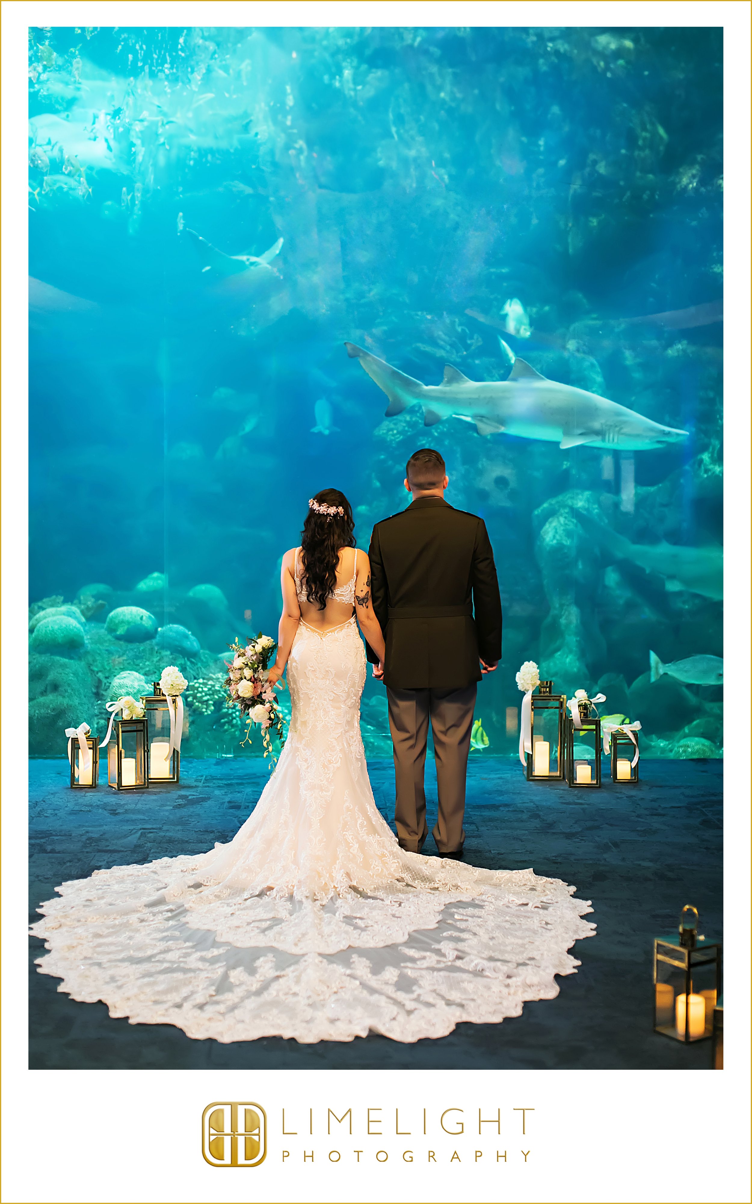 0057-The-Florida-Aquarium-Wedding-Photograoher.jpg