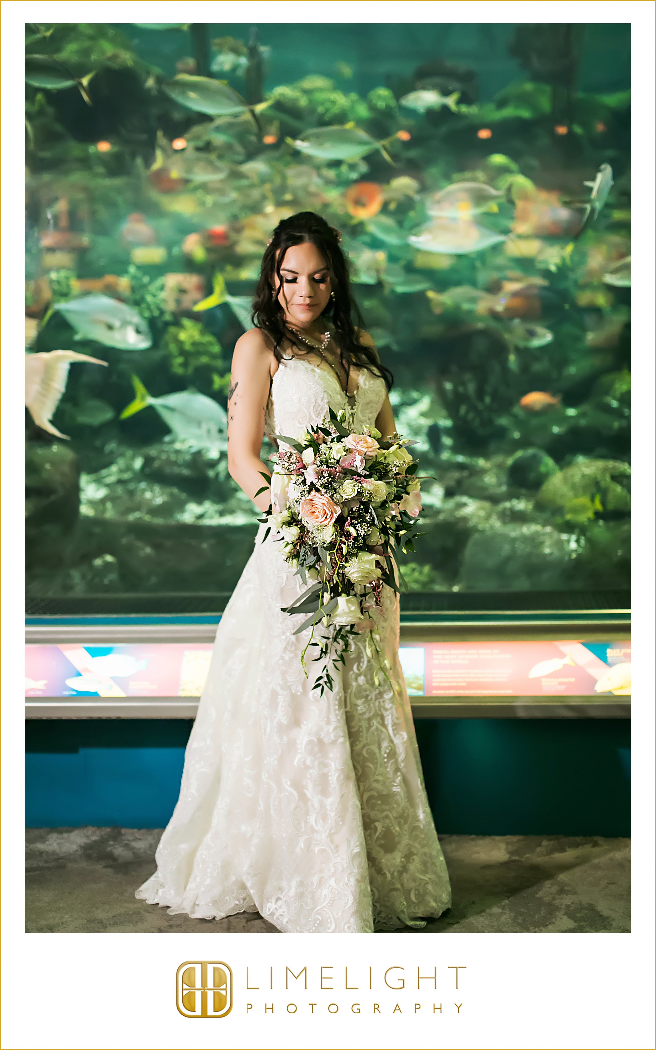 0071-The-Florida-Aquarium-Wedding-Photograoher.jpg