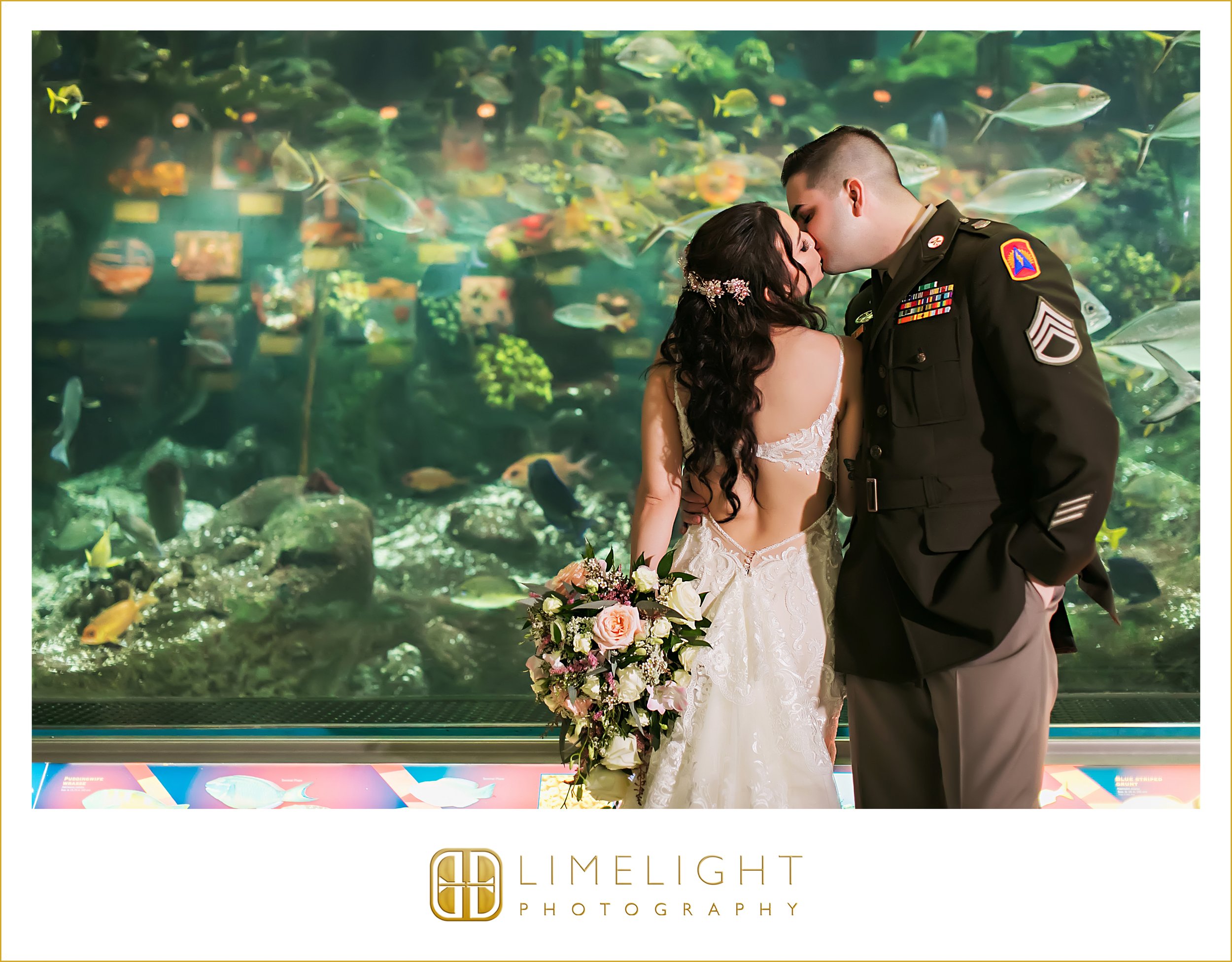 0073-The-Florida-Aquarium-Wedding-Photograoher.jpg
