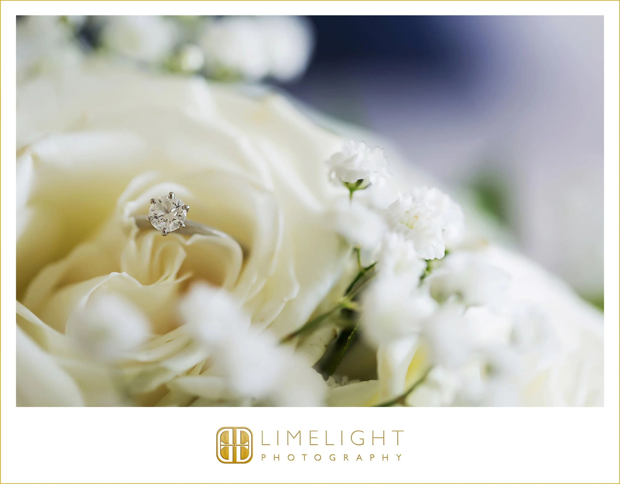 0006-The-Resort-at-Longboat-Key-Club-Wedding-Photographer.jpg