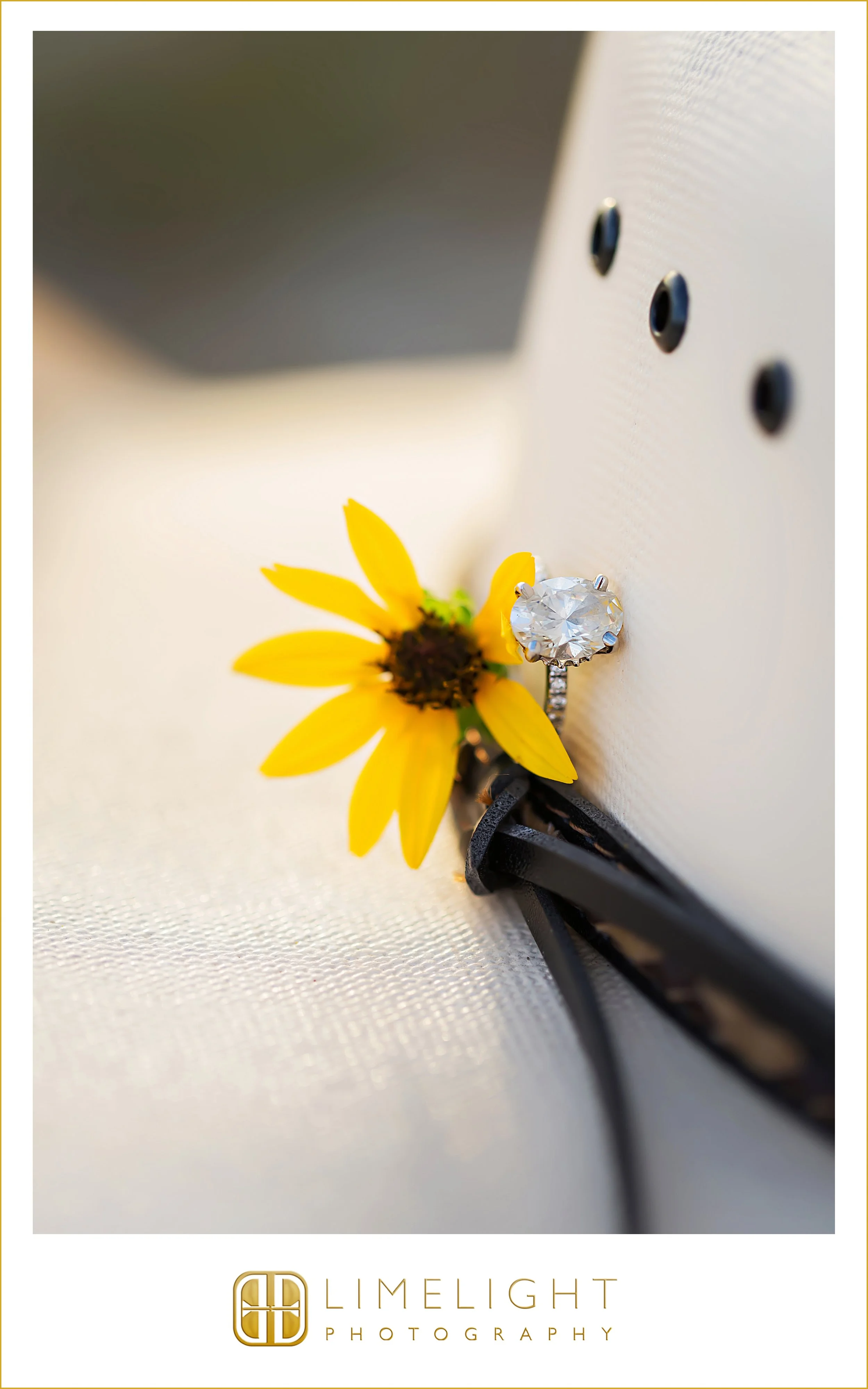 0014-Sand-Key-Beach-Engagement-Session.jpg