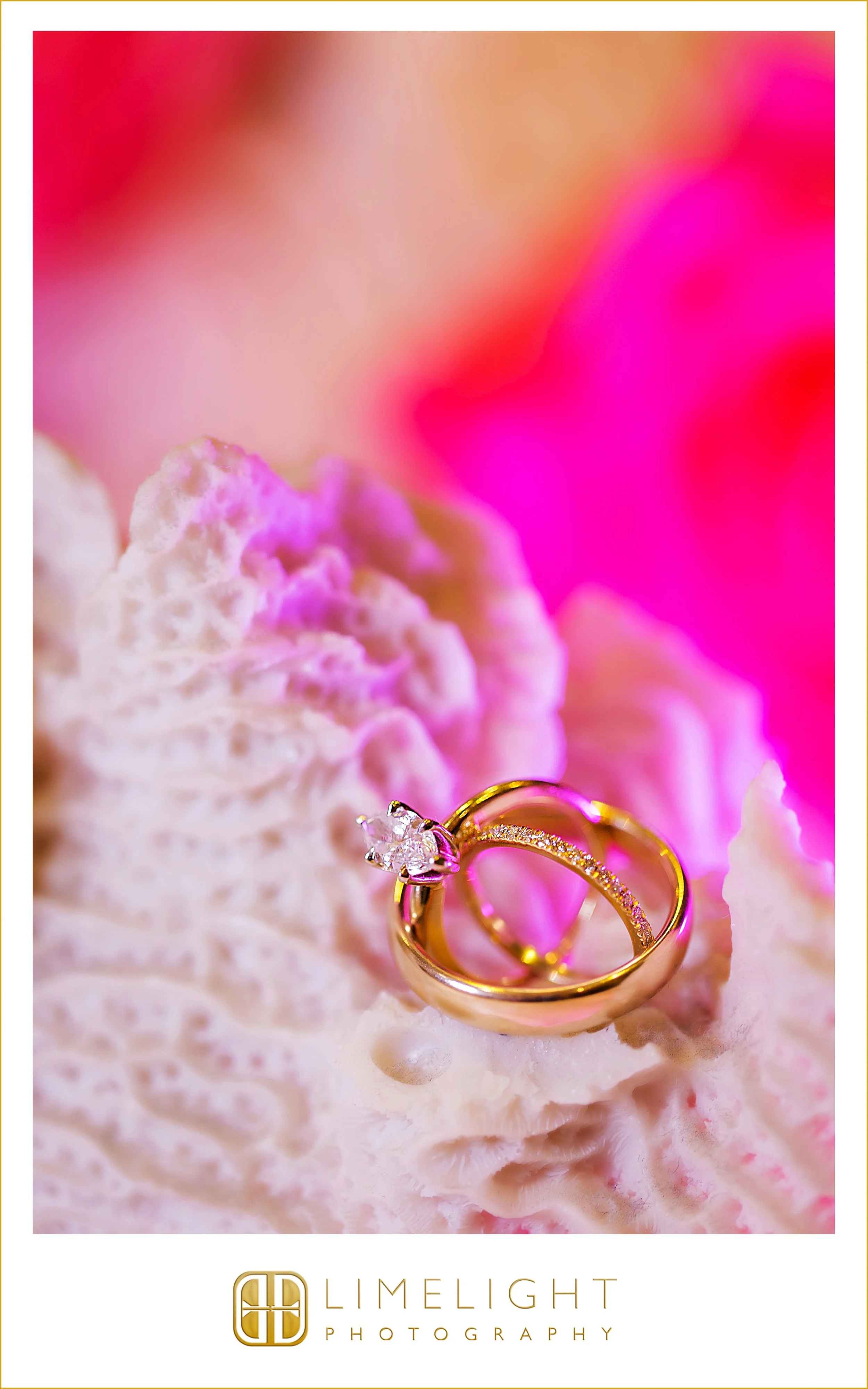 0042-Hyatt Regency-Clearwater-Beach-Resort-Wedding-Photography.jpg