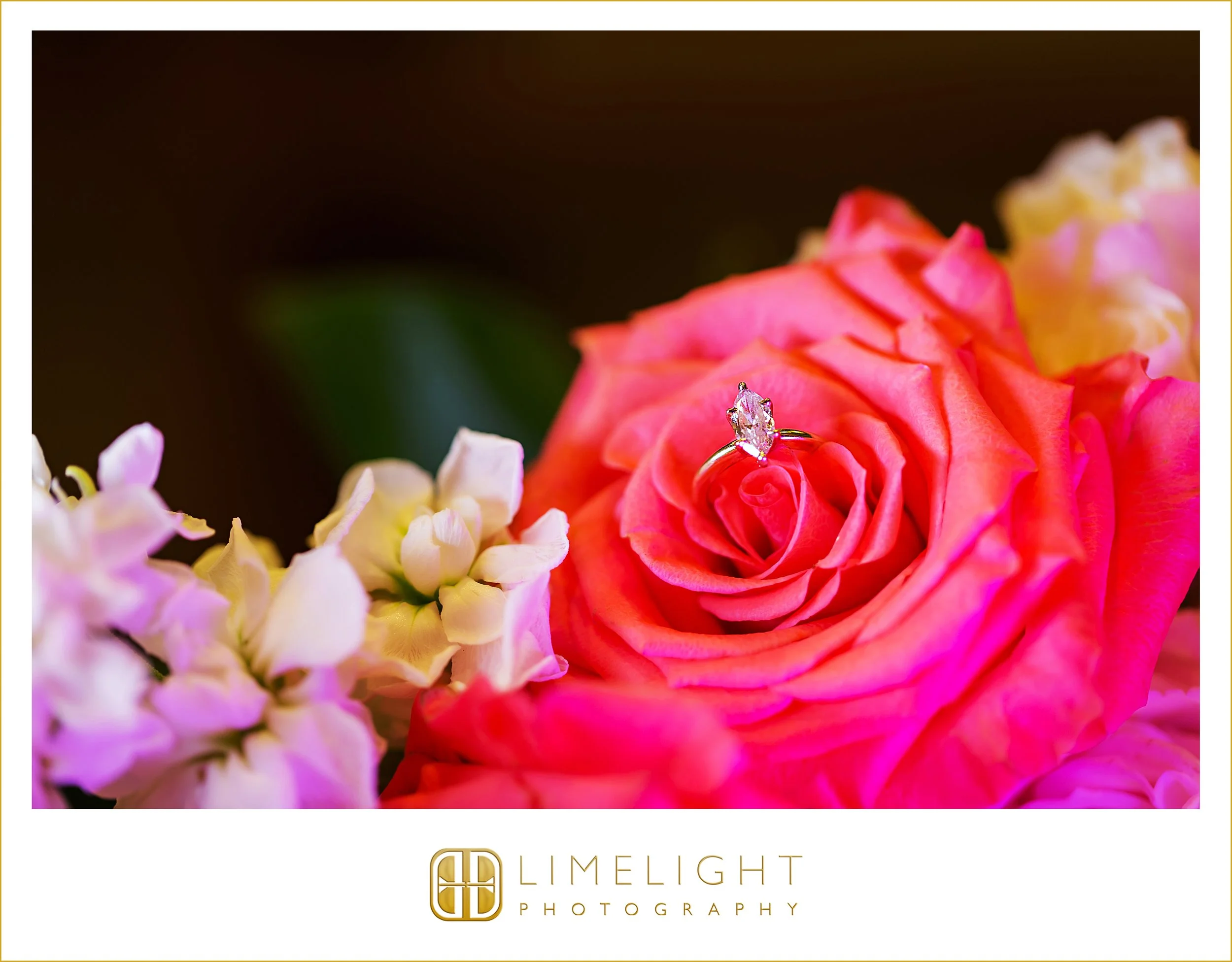0044-Hyatt Regency-Clearwater-Beach-Resort-Wedding-Photography.jpg