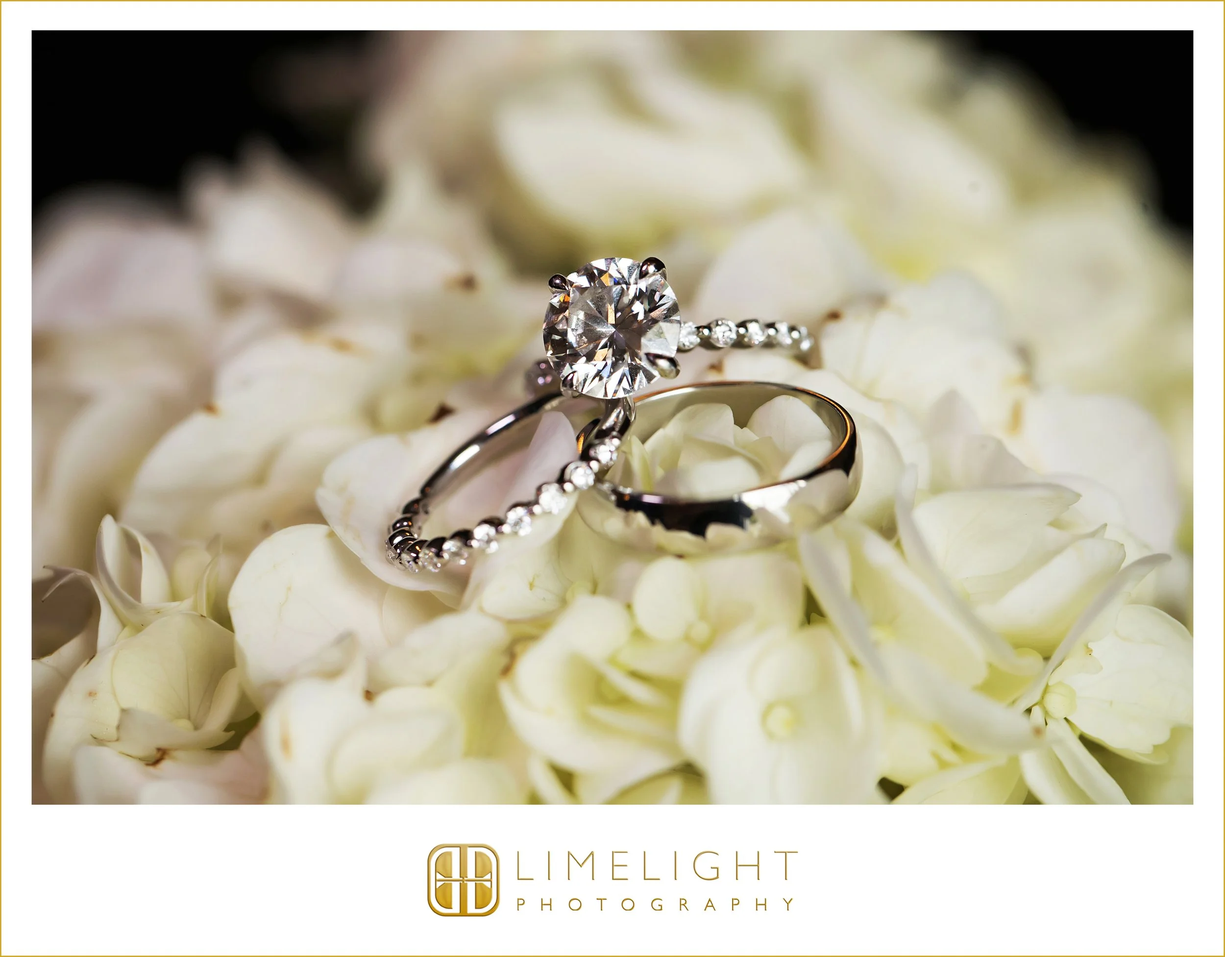 0037-Safety-Harbor-Resort-and-Spa-Wedding-Photographer.jpg