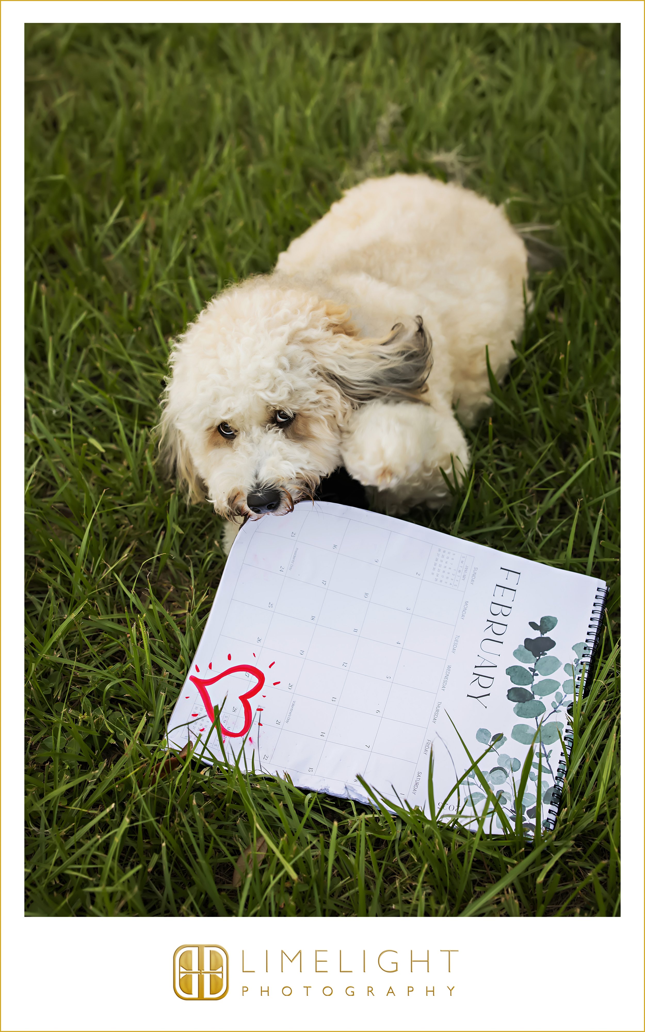 0008-Cunningham-Park-Engagment-Session.jpg