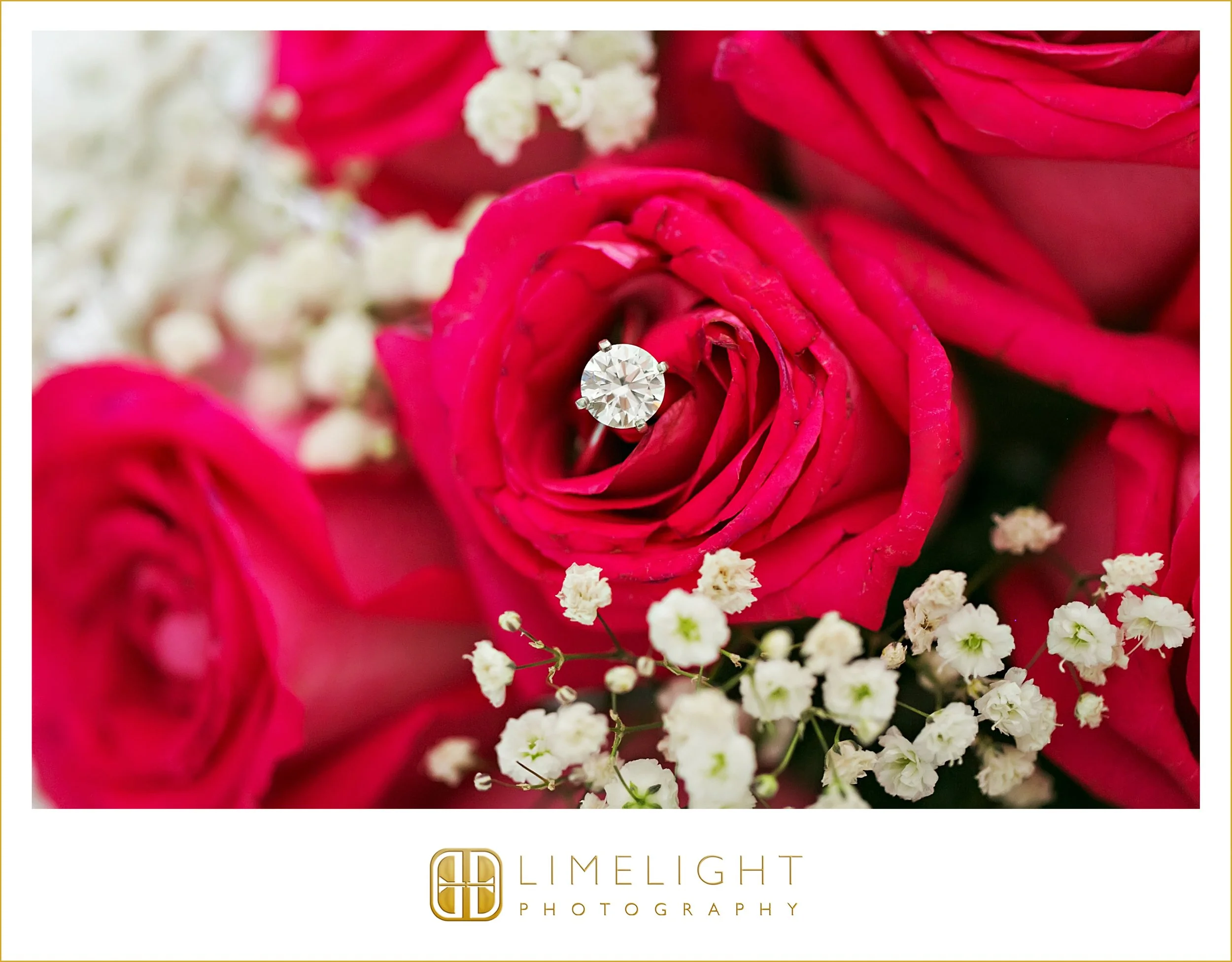 0005-Longboat-Key-Resort-Wedding-Day.jpg