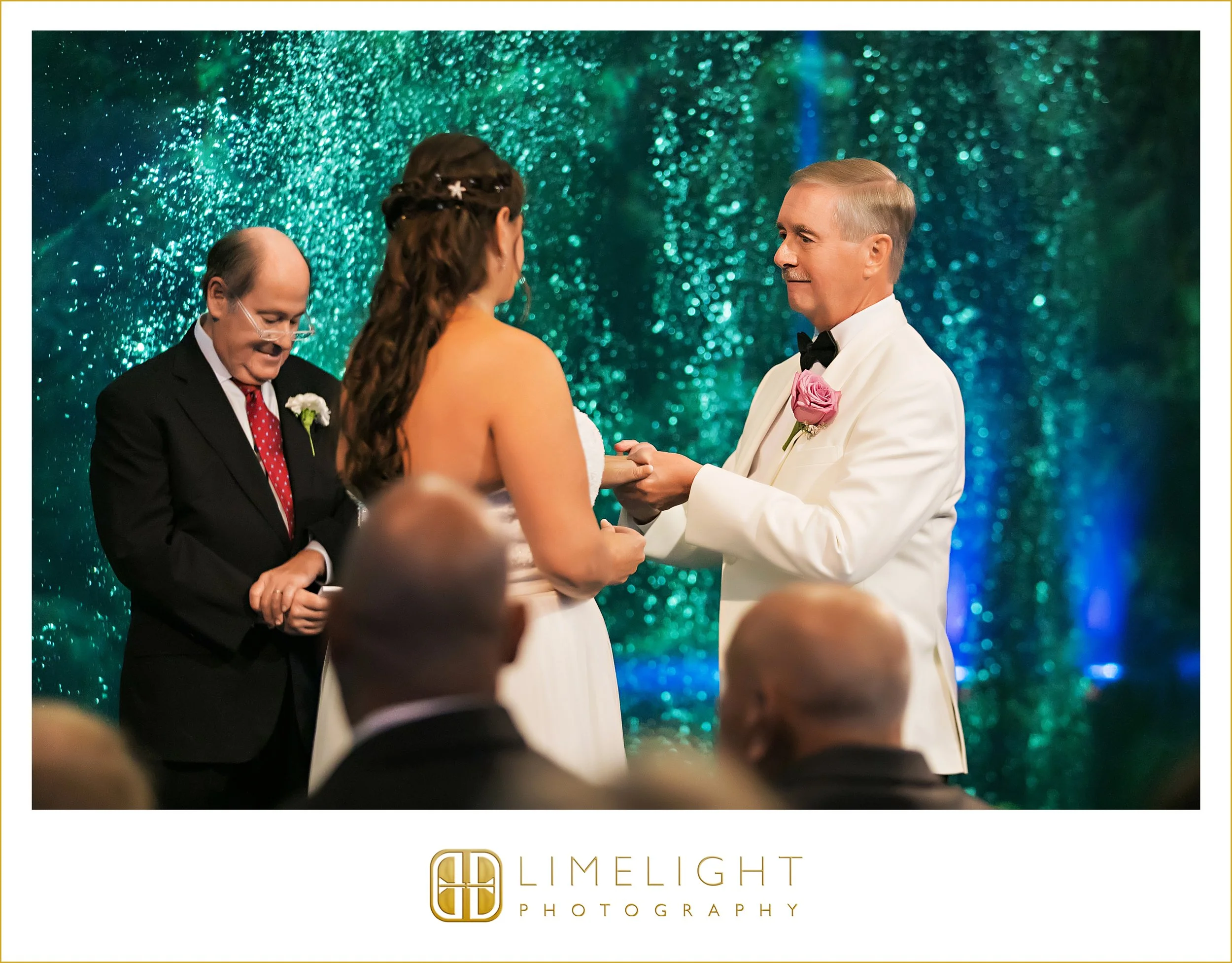 0041-The-Florida-Aquarium-Wedding-Day.jpg