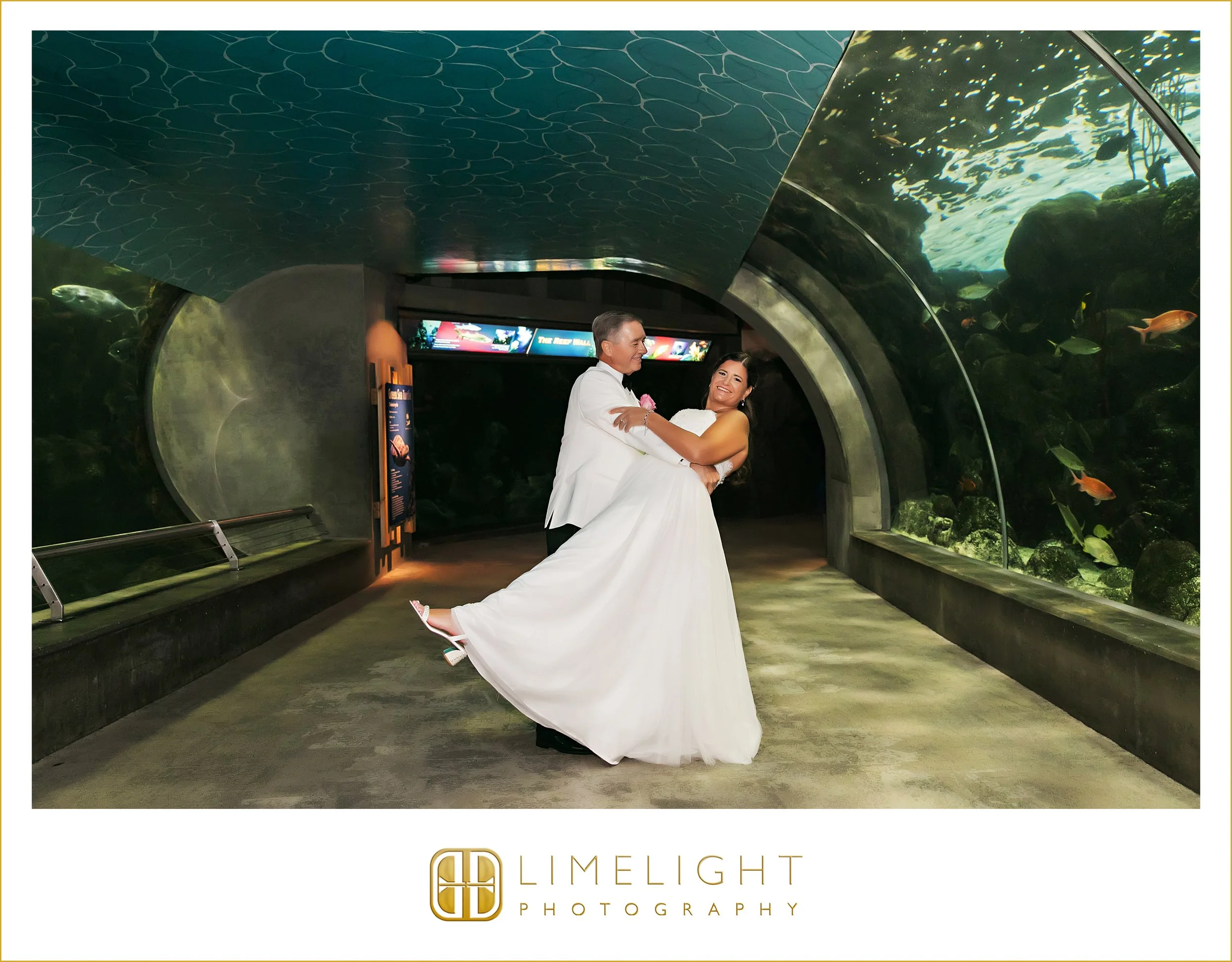 0046-The-Florida-Aquarium-Wedding-Day.jpg