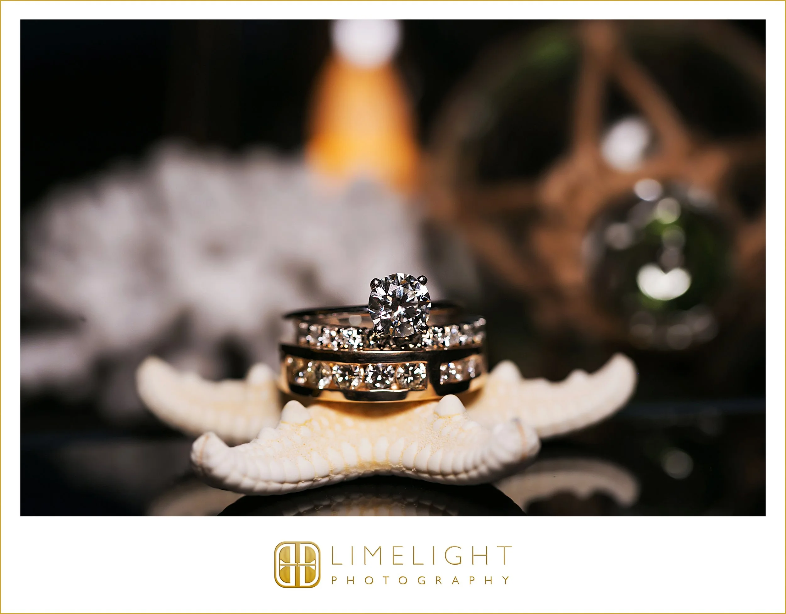 0058-The-Florida-Aquarium-Wedding-Day.jpg