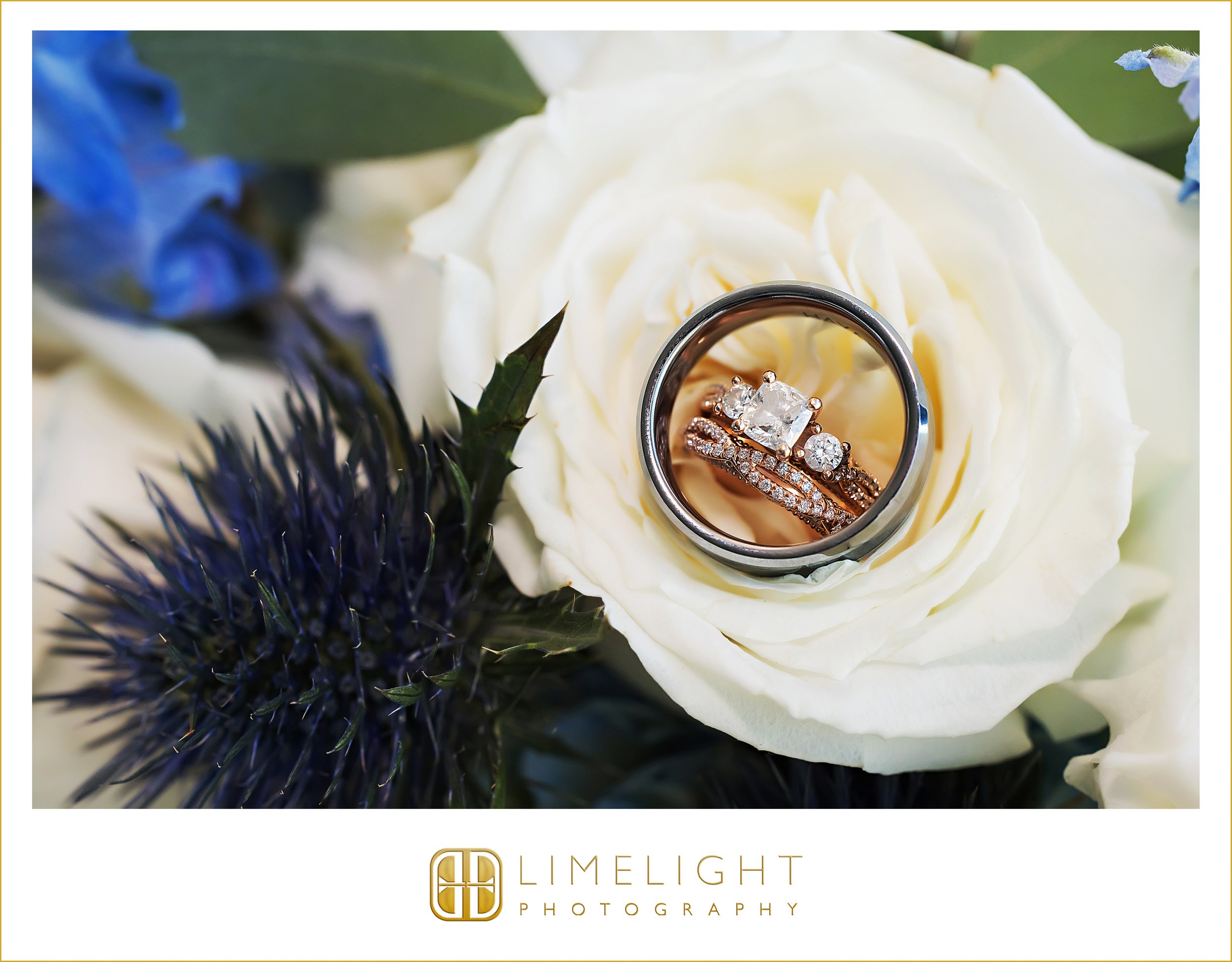 0006-Grand-Hyatt-Tampa-Bay-Classic-Wedding-Inspo.jpg