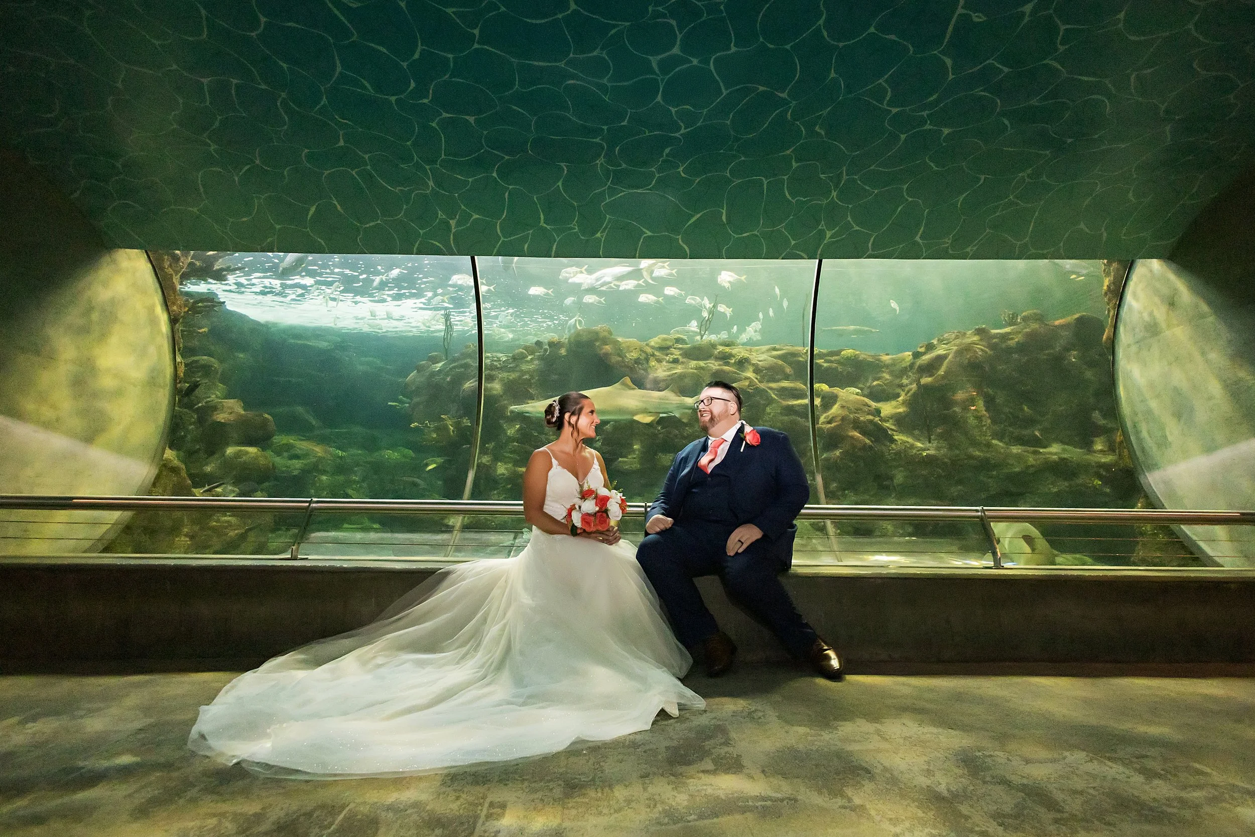Crystal + Eric Step Into The Limelight | The Florida Aquarium | Tampa, FL