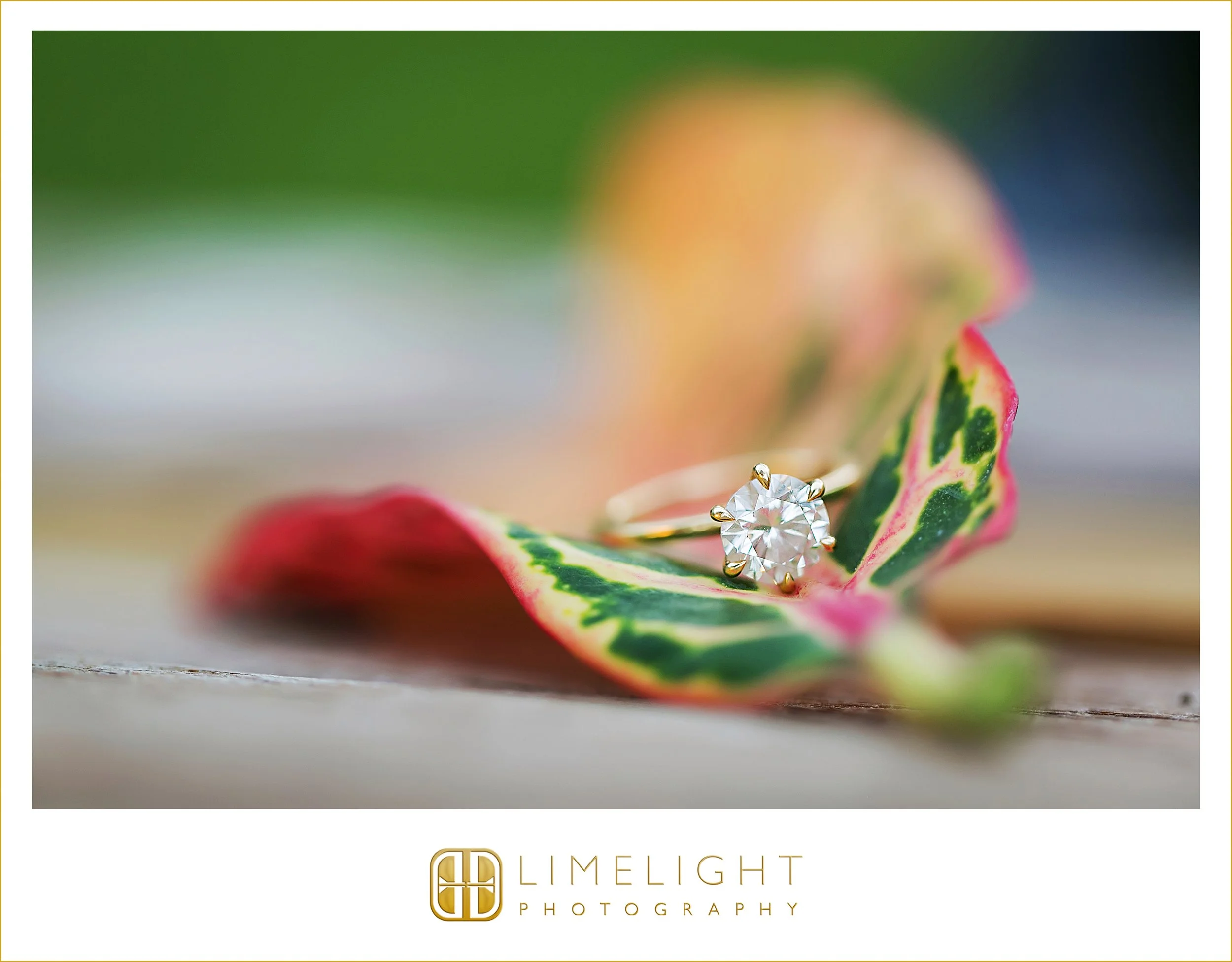 dierdre-and-michael-university-fo-tampa-engagement-session-photography16.jpg