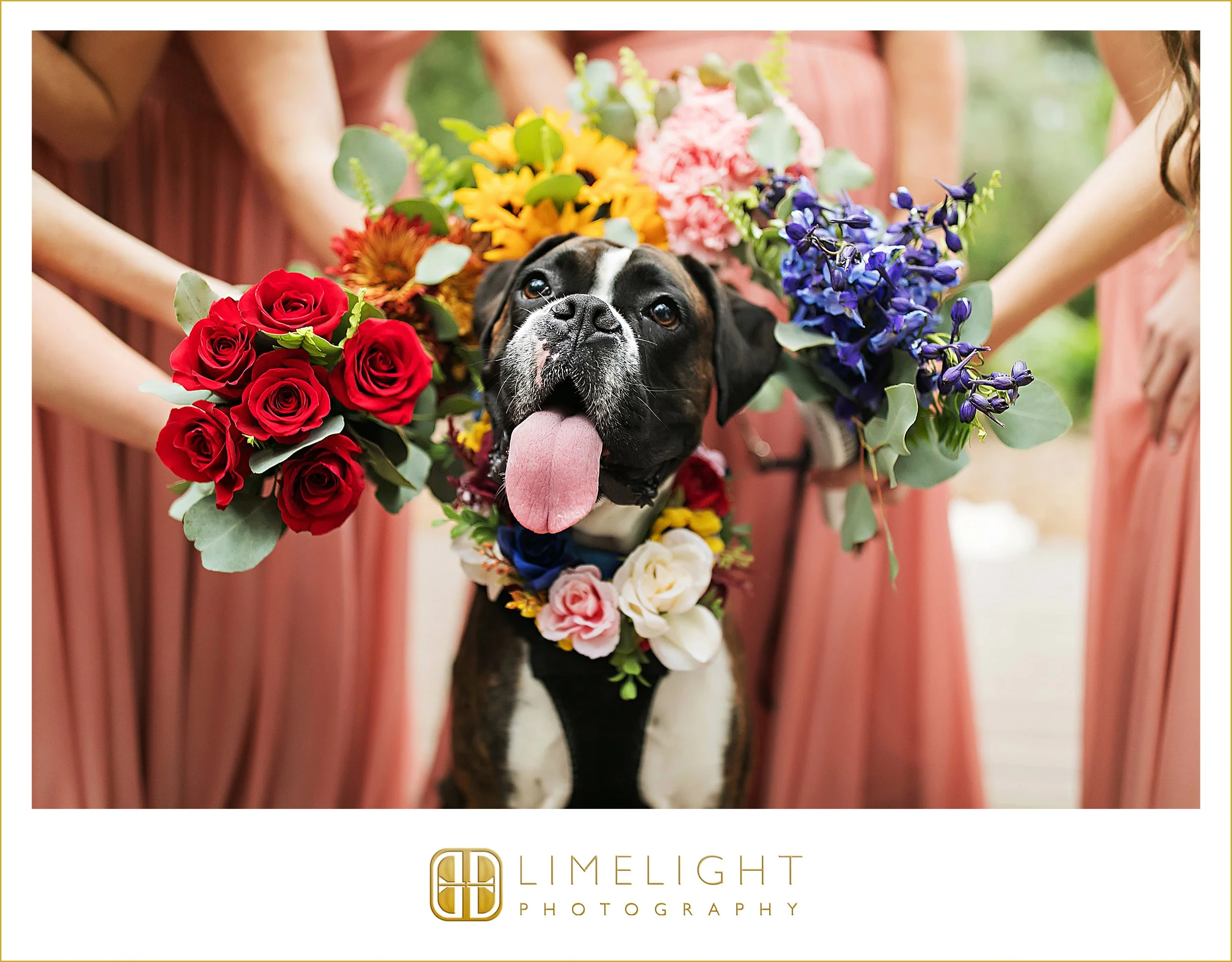 kylee-luke-cross-creek-ranch-seffner-florida-wedding-photography39.jpg