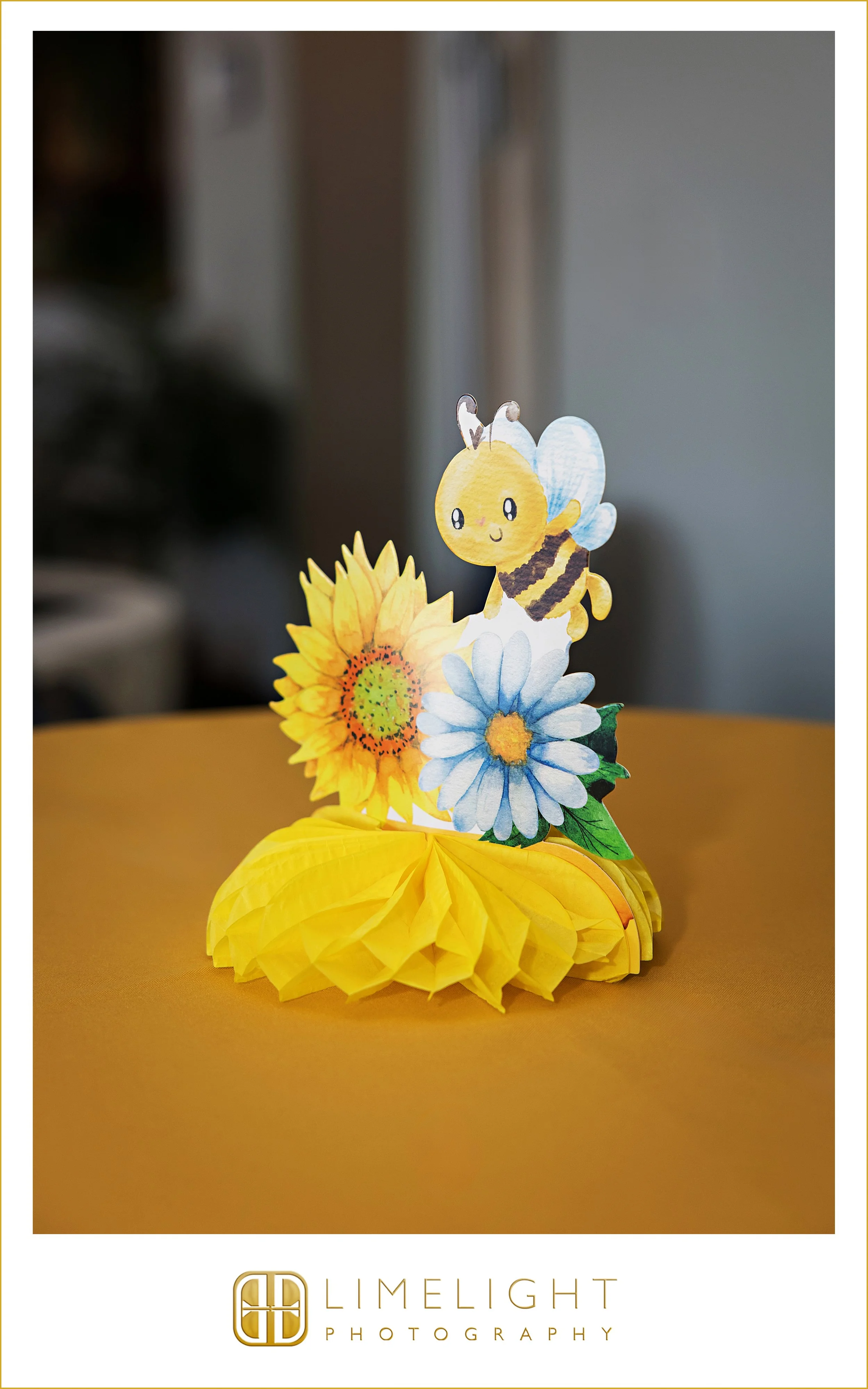 crystal-dain-baby-shower-st-pete-florida-event-photography4.jpg