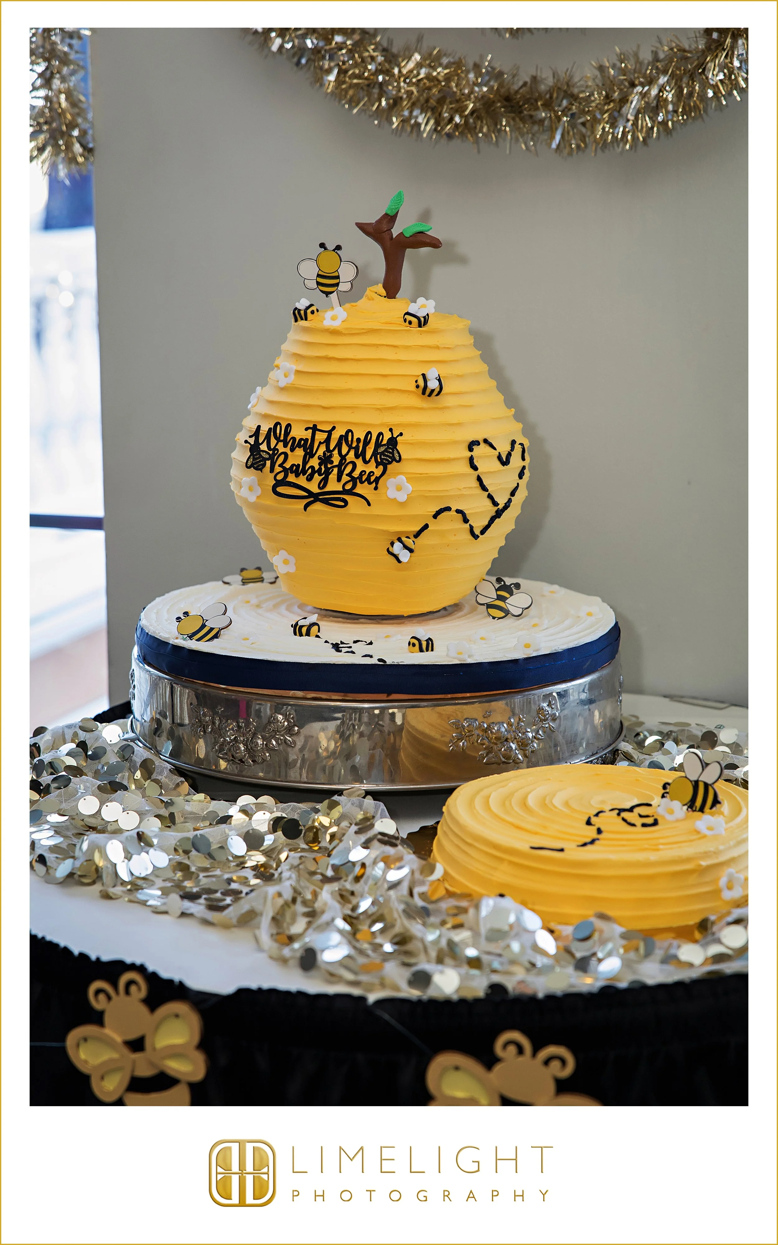 crystal-dain-baby-shower-st-pete-florida-event-photography12.jpg