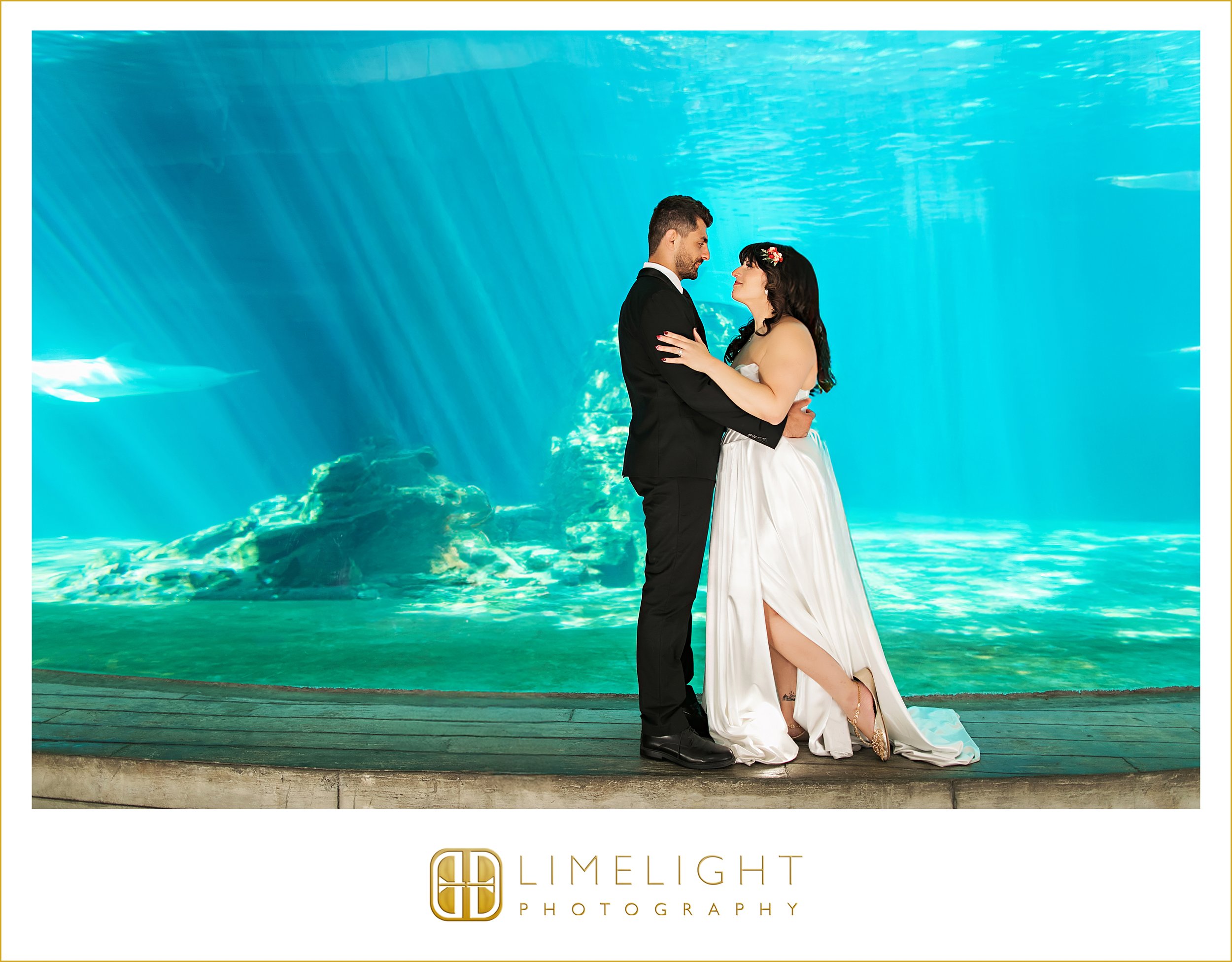 stephanie-and-berk-clearwater-wedding-photography-clearwater-marine-aquarium29.jpg