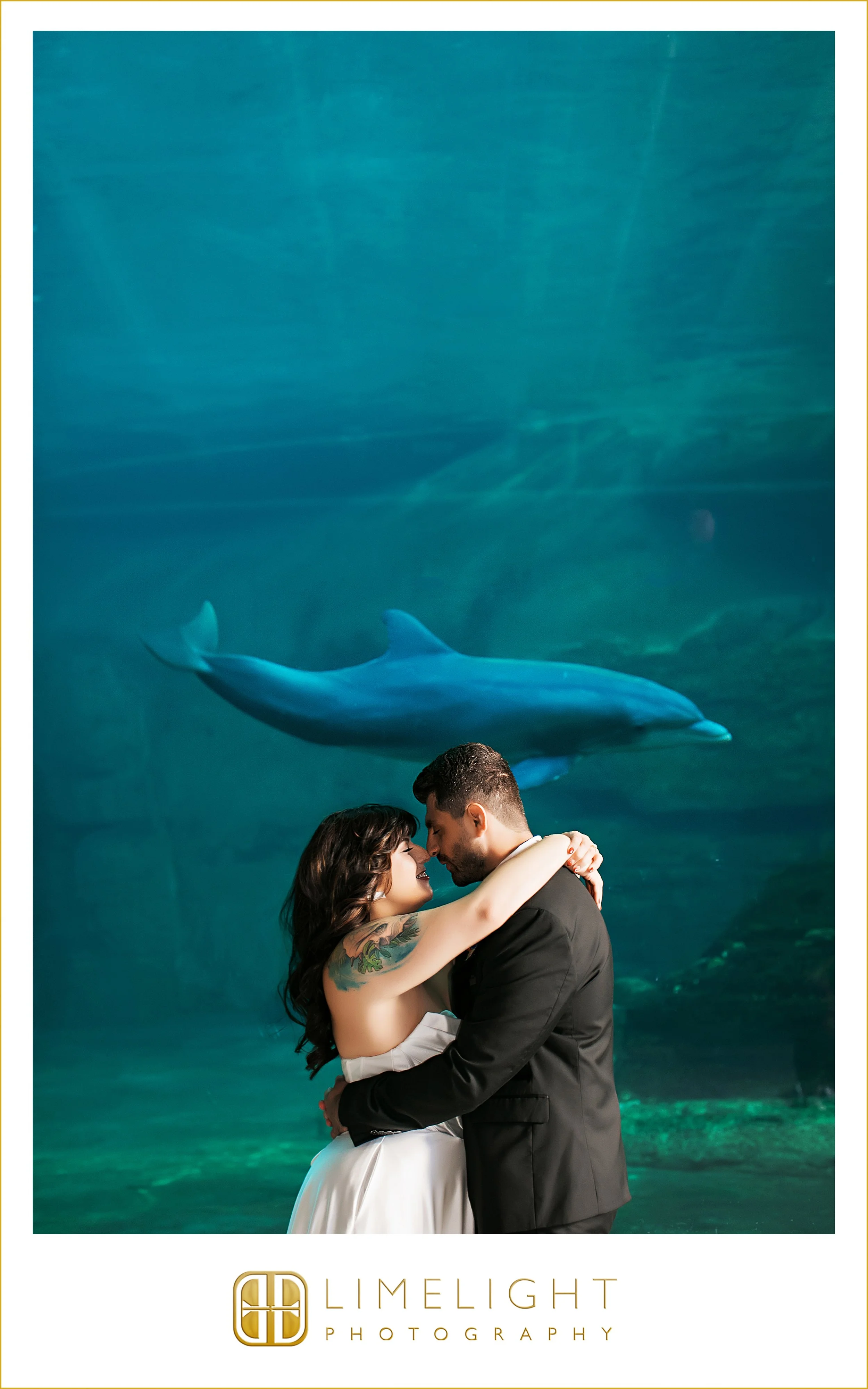stephanie-and-berk-clearwater-wedding-photography-clearwater-marine-aquarium32.jpg