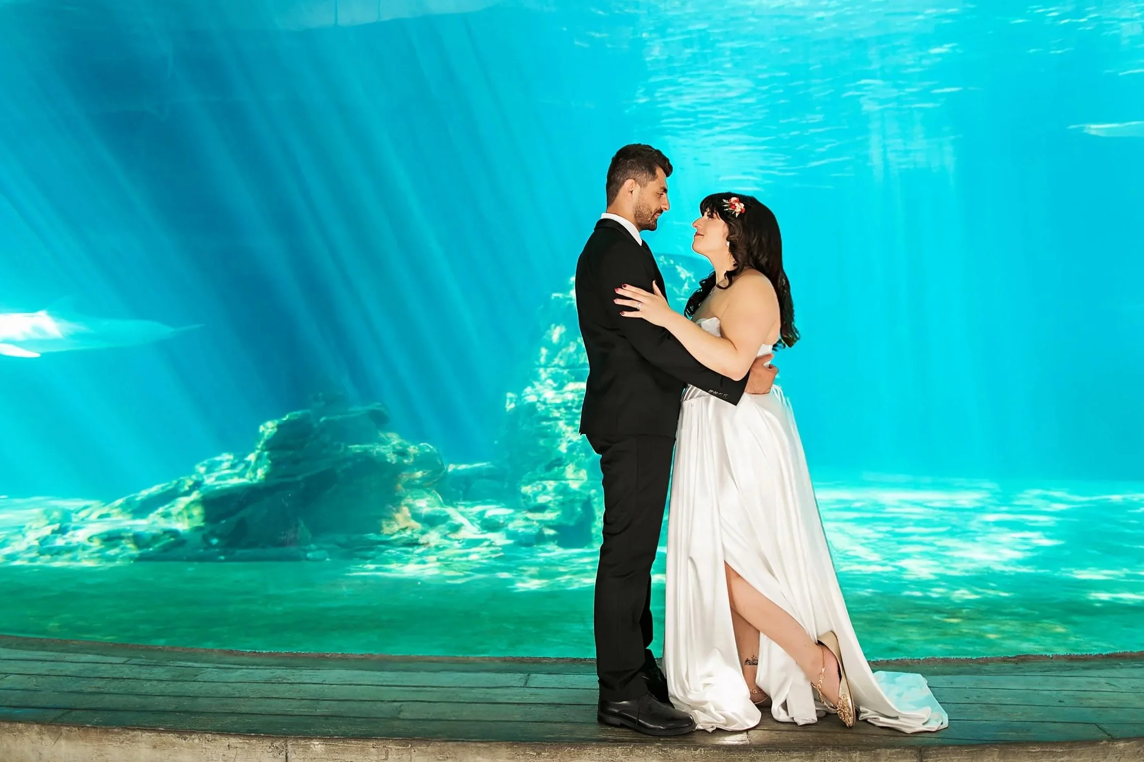Stephanie + Berk Step Into The Limelight | Clearwater Marine Aquarium | Clearwater, FL