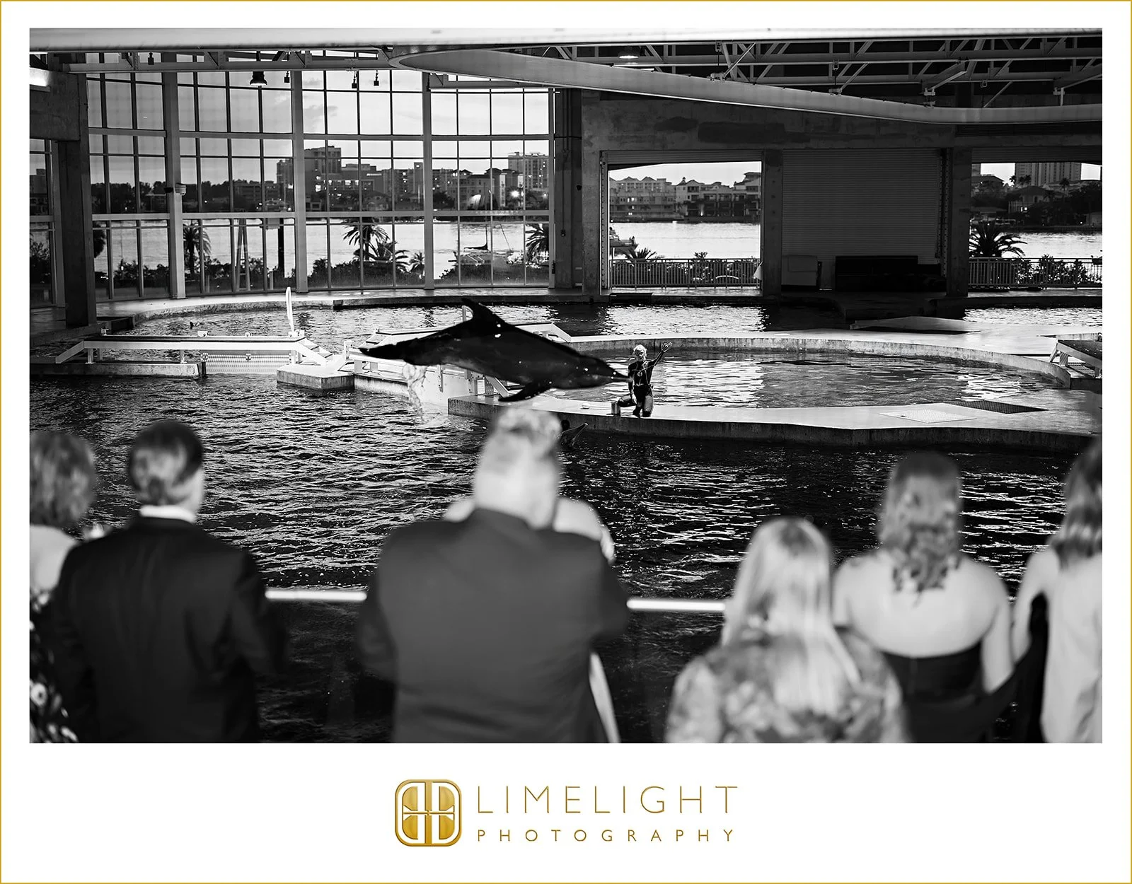 carson-and-chris-clearwater-marine-aquarium-florida-wedding-photography51.jpg