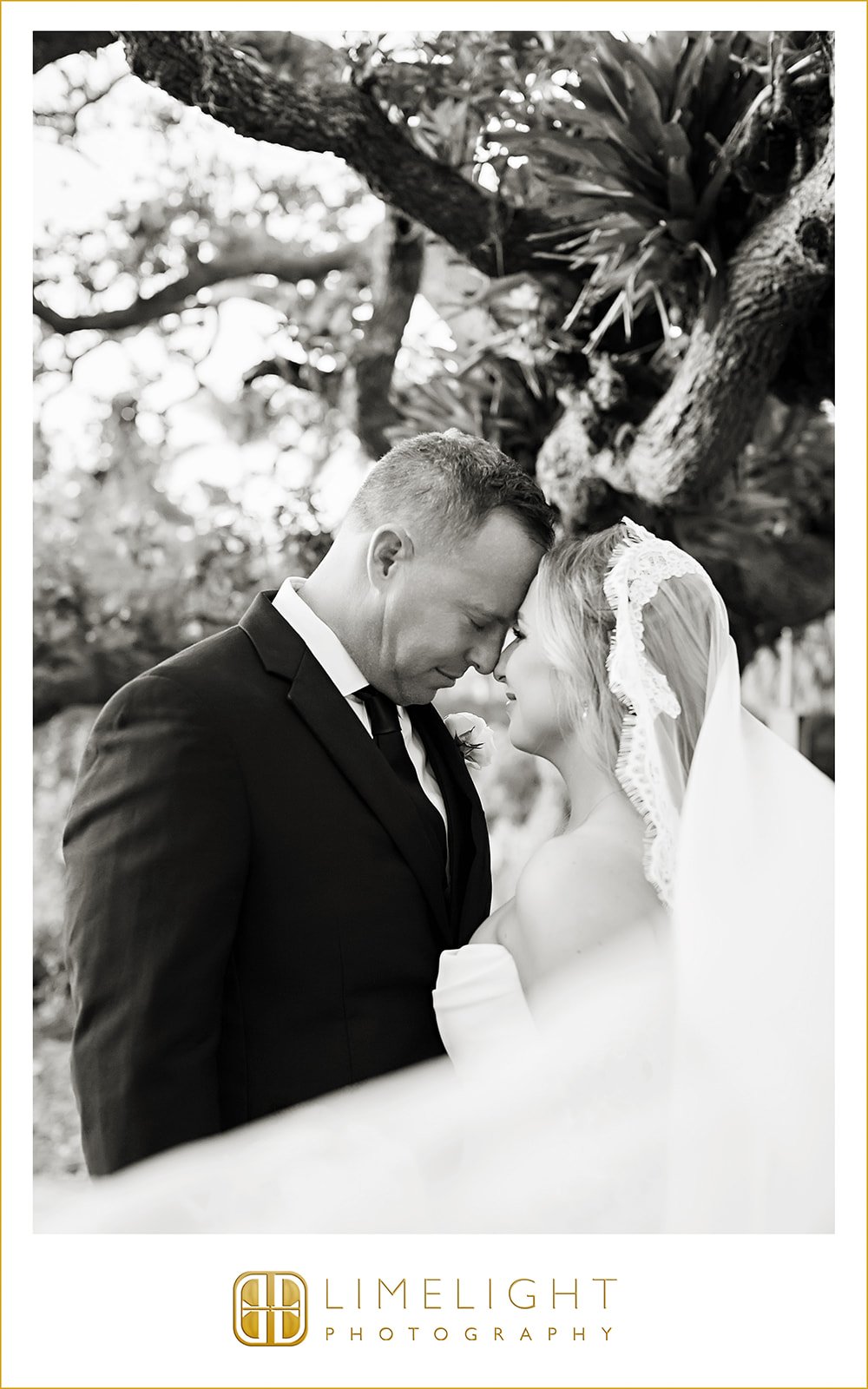 michaela-and-zachary-marie-selby-botanical-garden-wedding-florida-wedding-photographer42.jpg