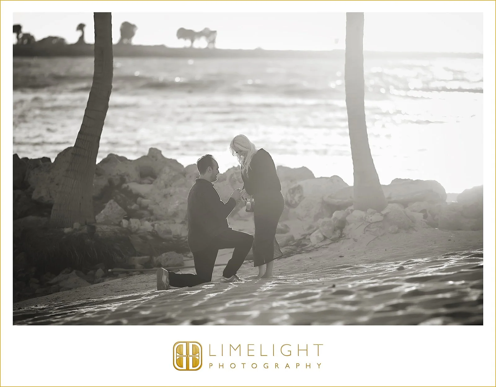 tiffany-and-vince-clearwater-beach-proposal-photography1.jpg
