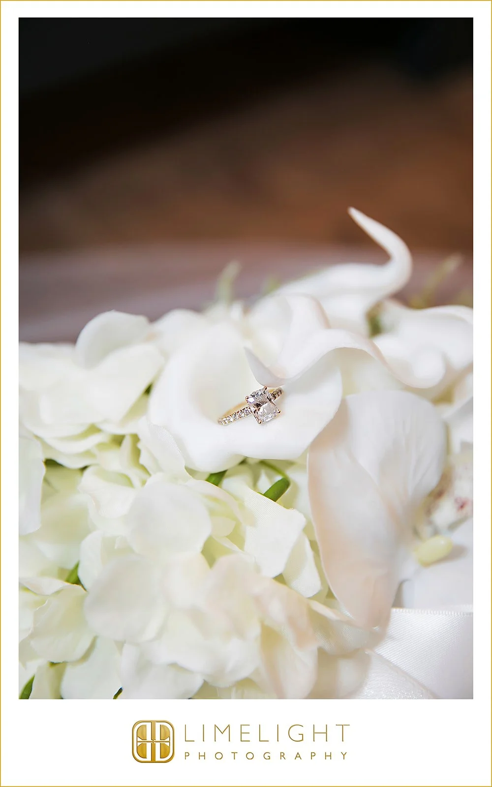 amy-and-derek-sunken-gardens-st-pete-wedding-photography2.jpg