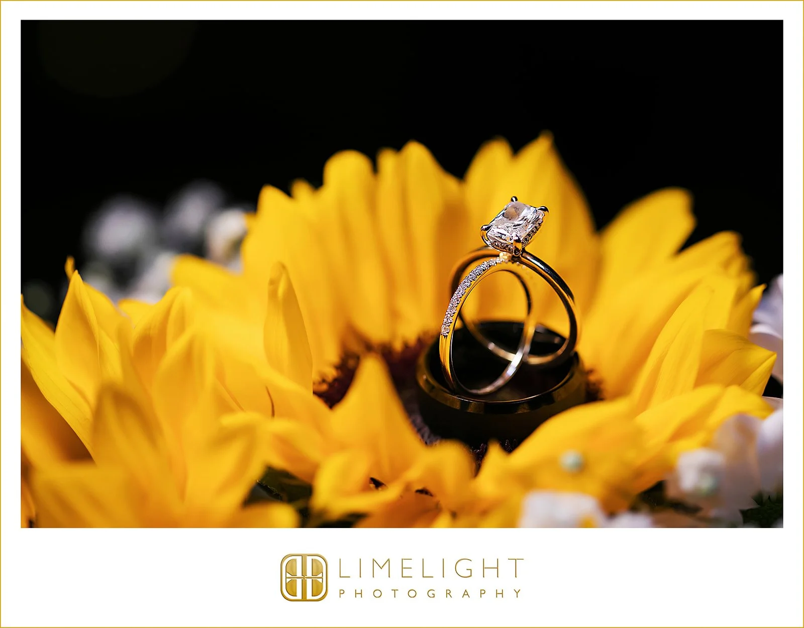 lea-and-adam-clearwater-beach-florida-wedding-photography57.jpg