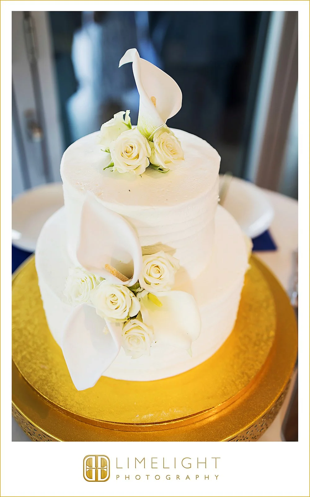titalya-and-cameron-florida-wedding-photography49.jpg