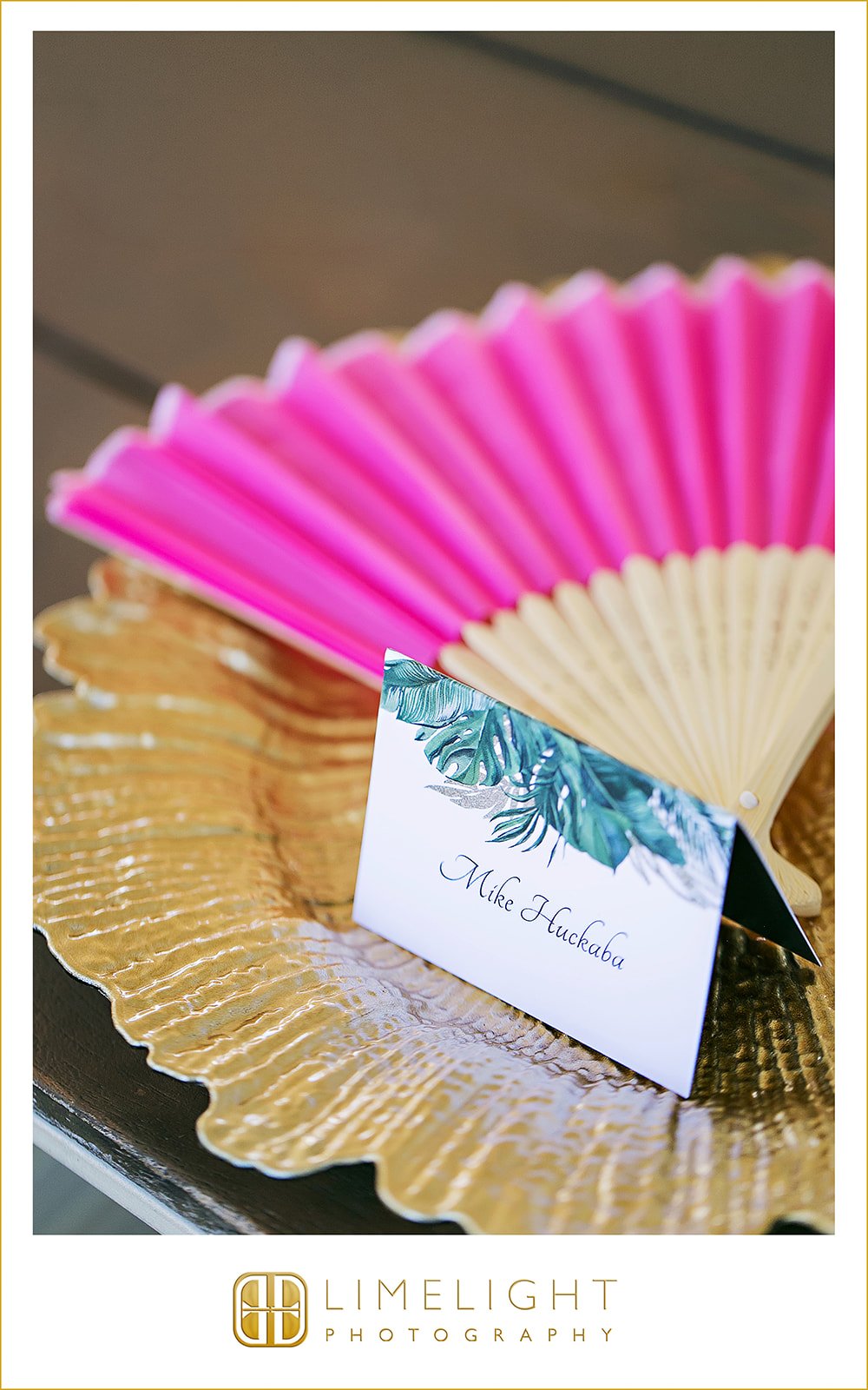 elaine-tre-wedding-photography-vista-at-the-top-florida2.jpg