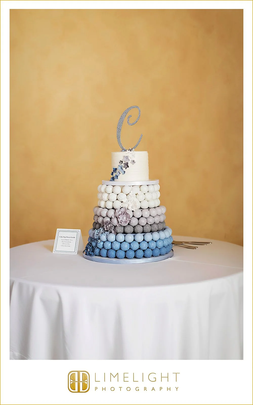 danielle-nicholas-wedding-photography-italian-club-tampa-florida47.jpg