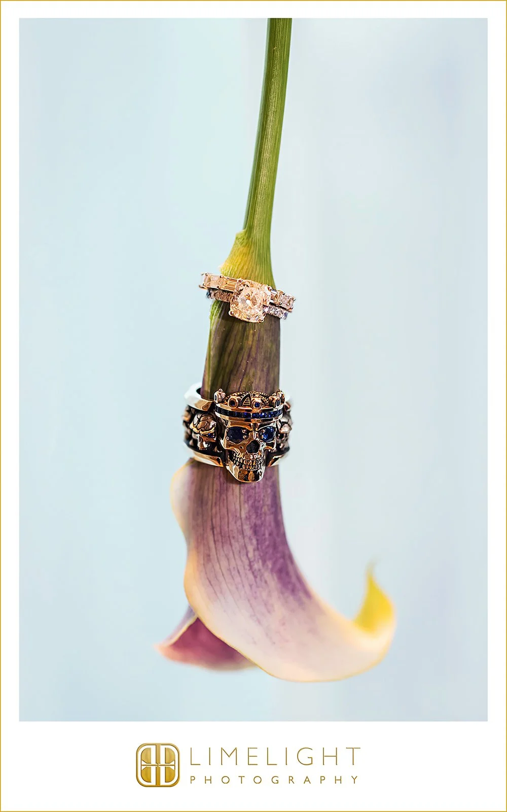 allissa-john-wedding-photography-the-tampa-edition-florida34.jpg